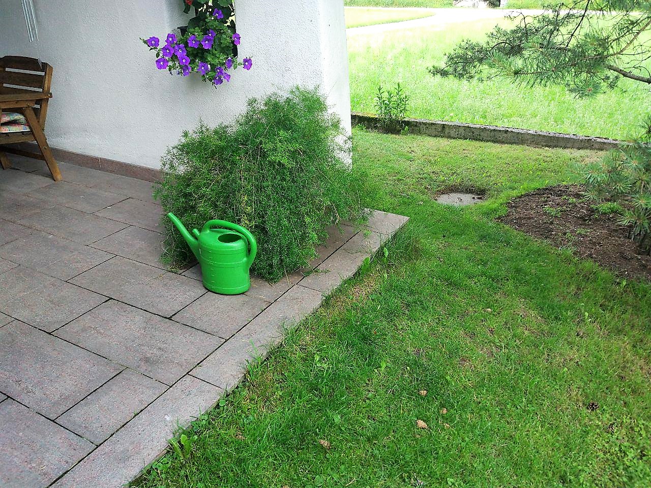 terrasse-renovieren-pflaster-von-feuchtigkeit-befreien-263996-2.jpg