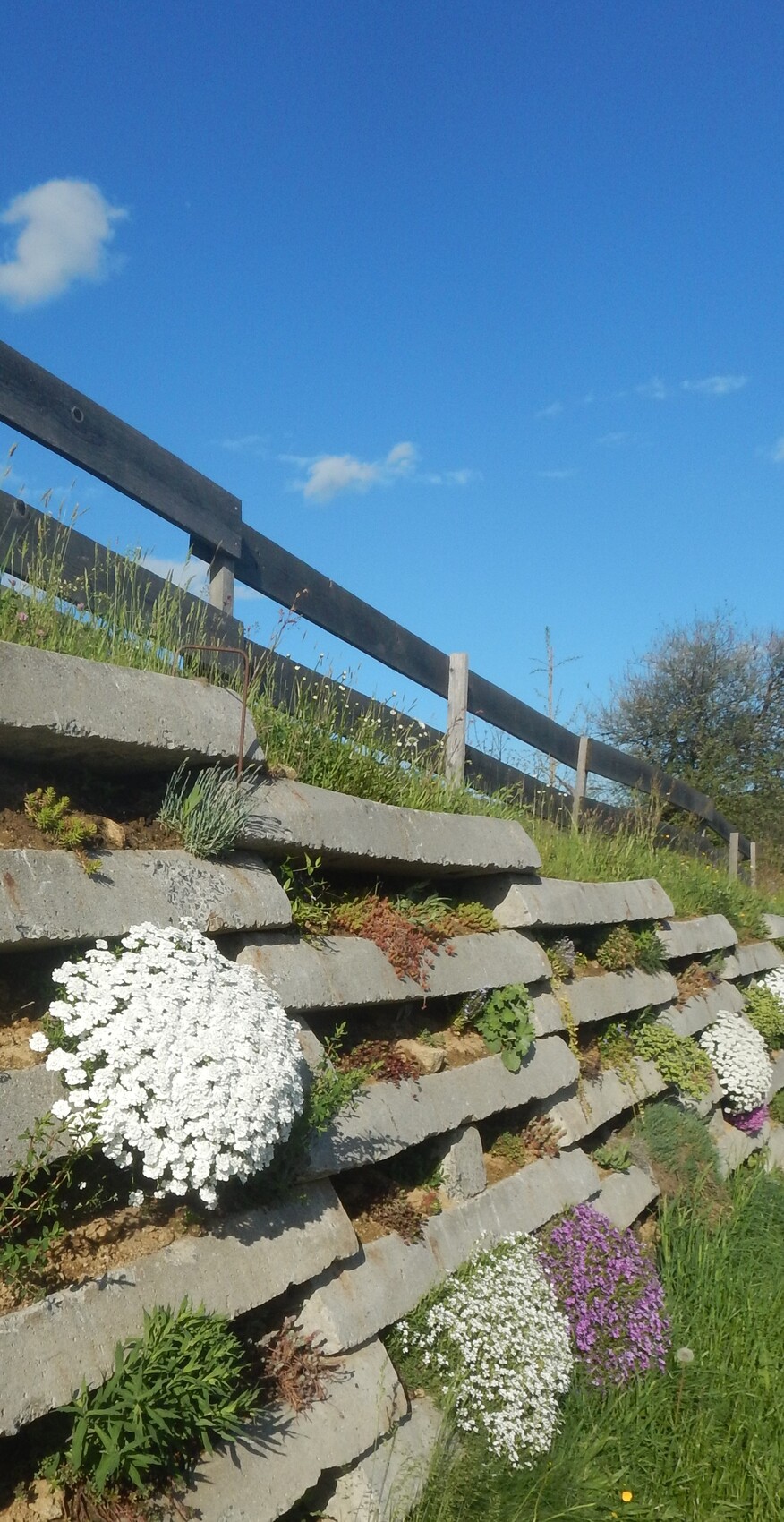 Hangmauer aus Betonstufen mit Blumenbeeten unter blauem Himmel