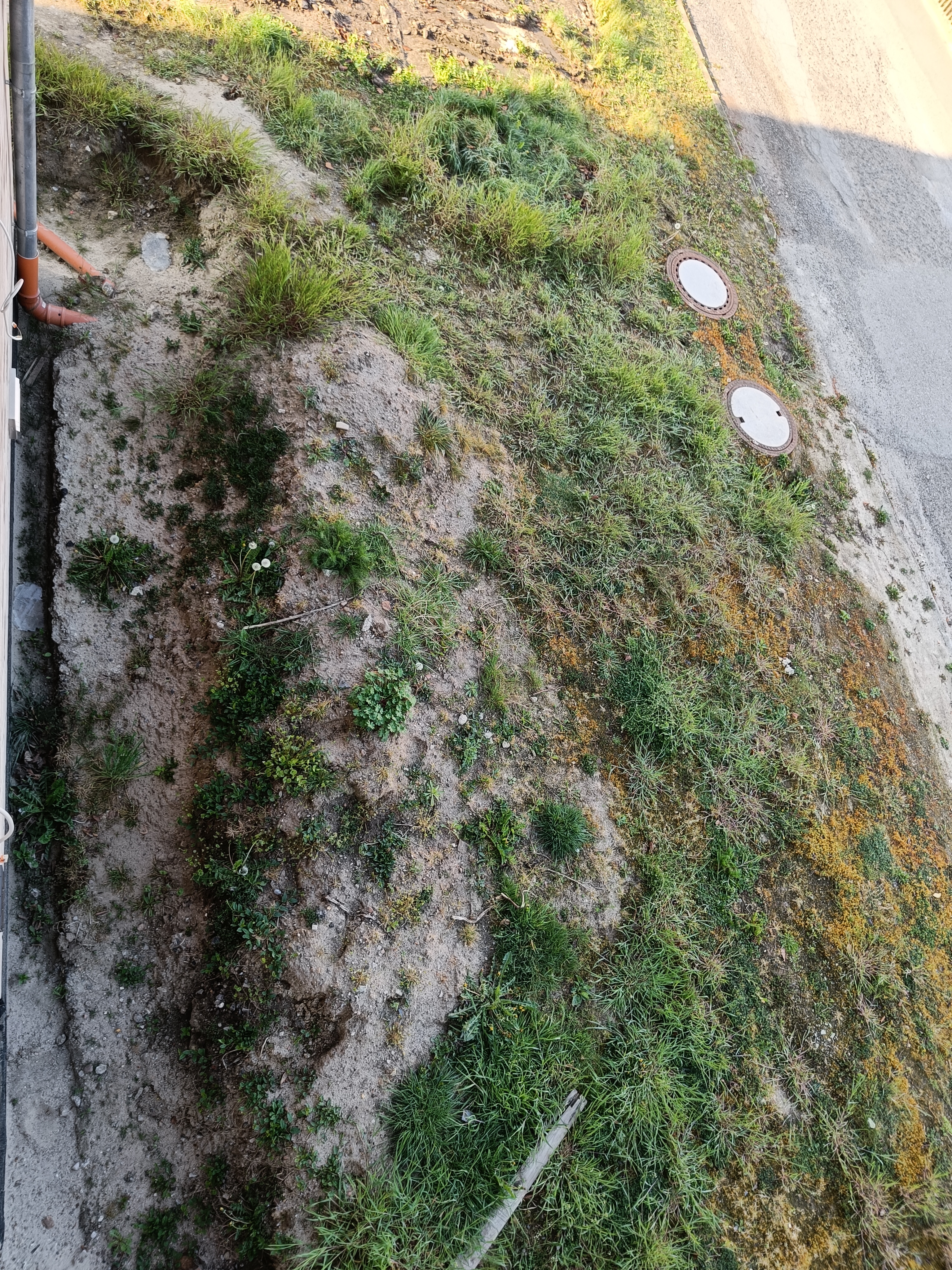 terrassenplanung-brauche-unterstuezung-572832-1.jpg