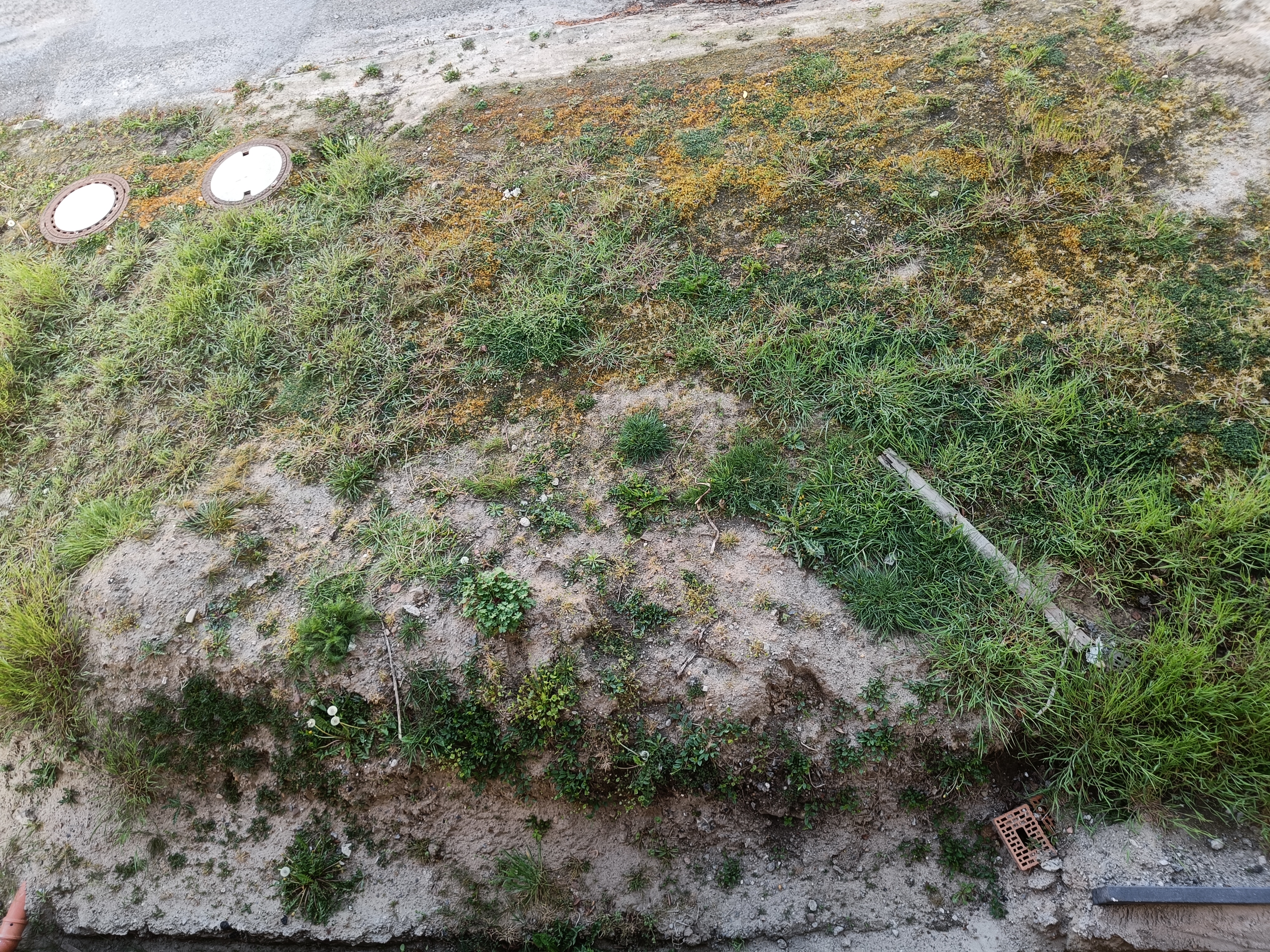 terrassenplanung-brauche-unterstuezung-572832-2.jpg