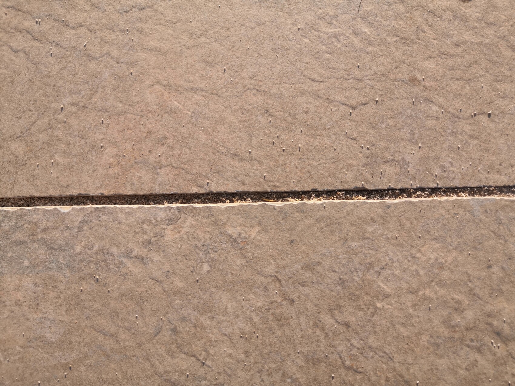 Nahaufnahme von Sandsteinplatten mit Fuge und Spalt zwischen Terrassenplatten