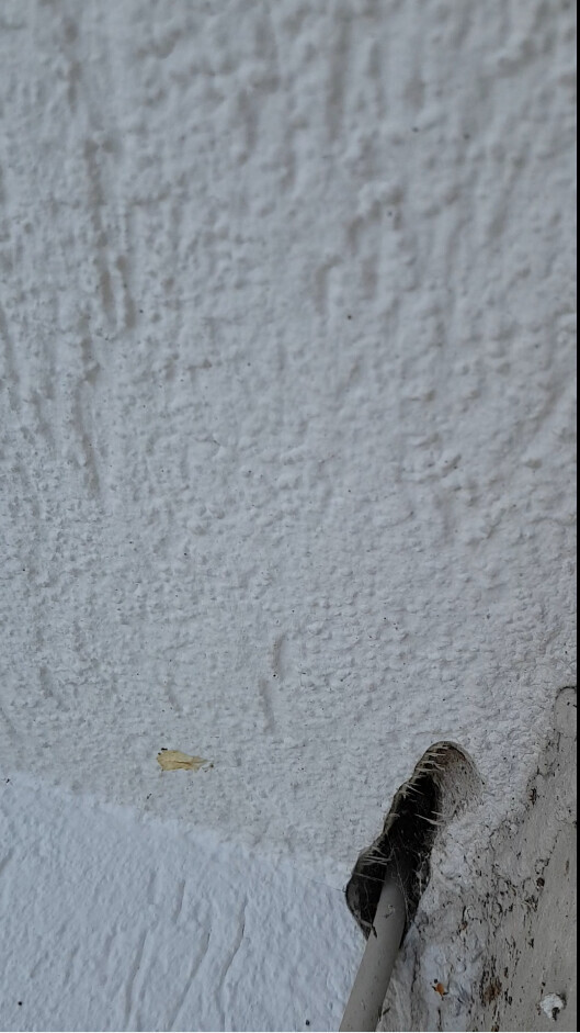 Grobe, weiß verputzte Wand; unten rechts ein Rohr/Leitung, daneben ein kleines gelbes Blatt.