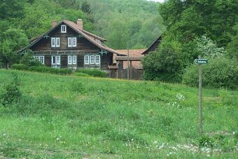 Traditionelles Holzhaus in grüner Waldlandschaft mit Wiese.