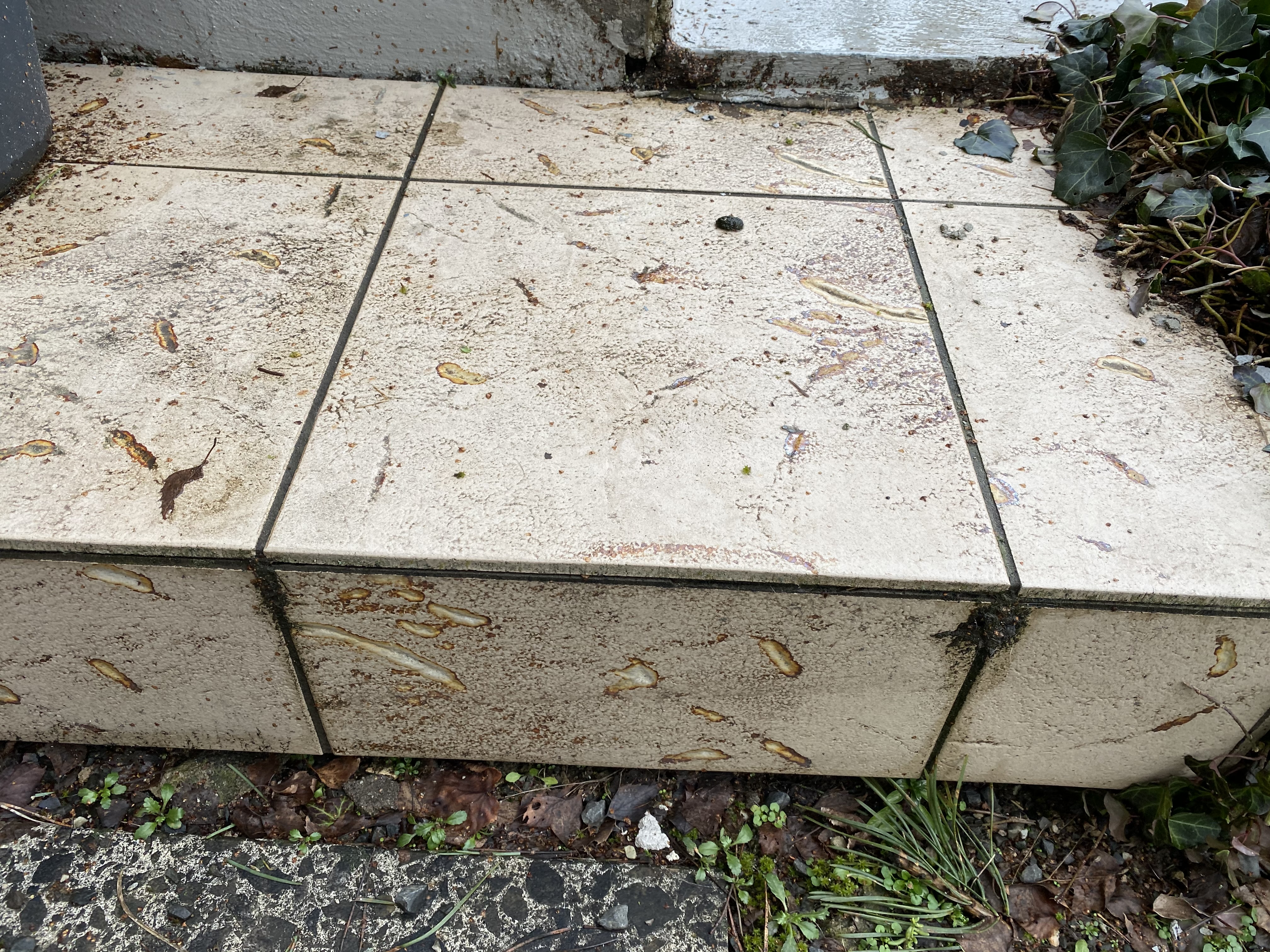 treppe-im-altbau-zukunftssicher-erneuern-467996-3.jpg
