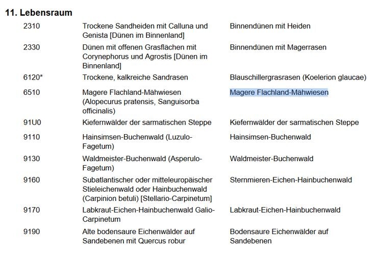Tabellarische Übersicht von Lebensräumen (Dünen, Heide, Wälder) mit Arten.