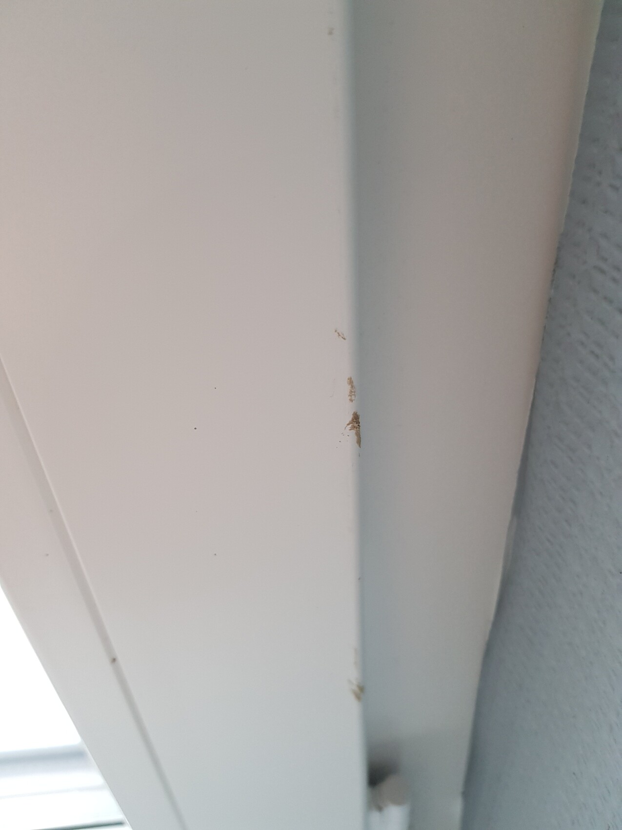 Nahaufnahme eines weißen Türrahmens mit braunen Flecken an der Kante neben einer blauen Wand.