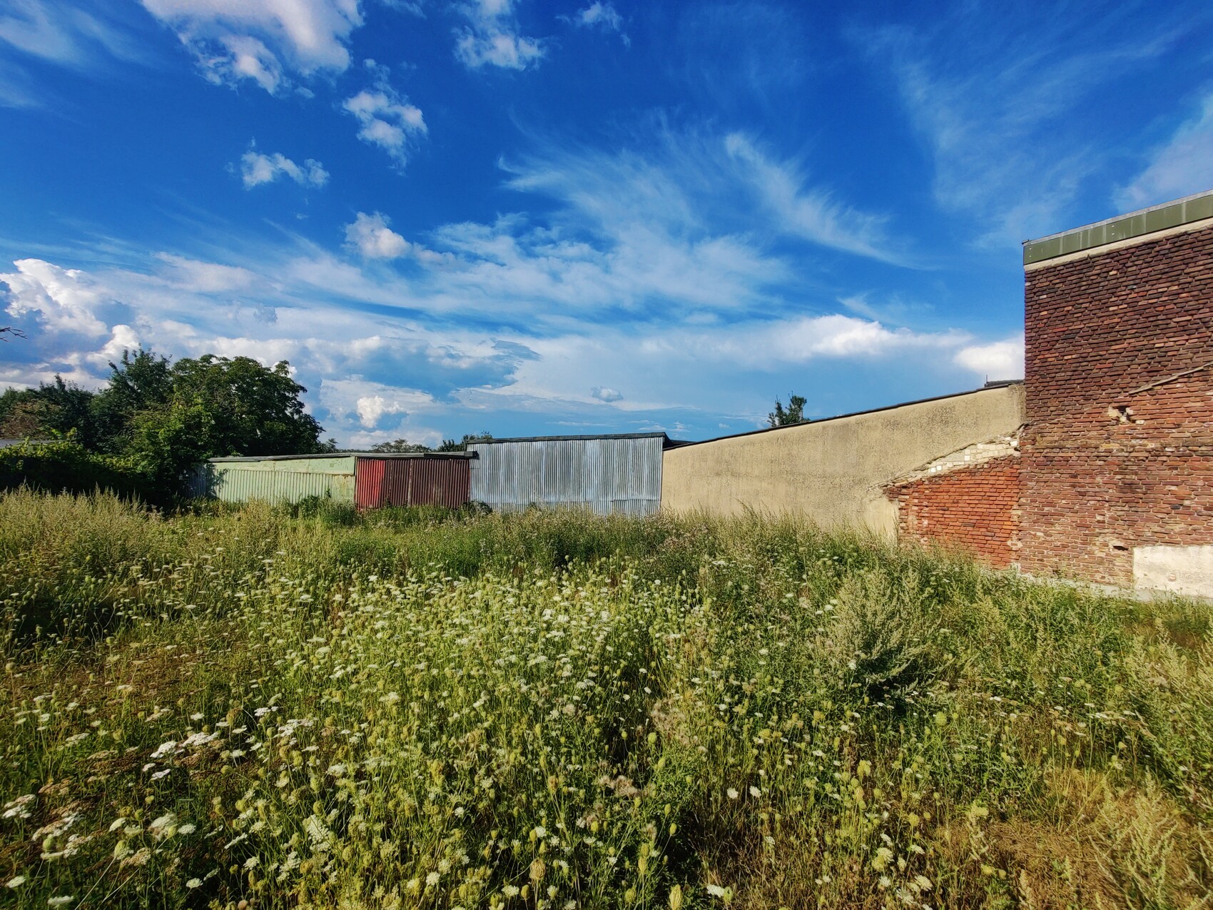 Überwucherter Garten mit Ziegelmauer, bunten Blechzäunen und blauem Himmel