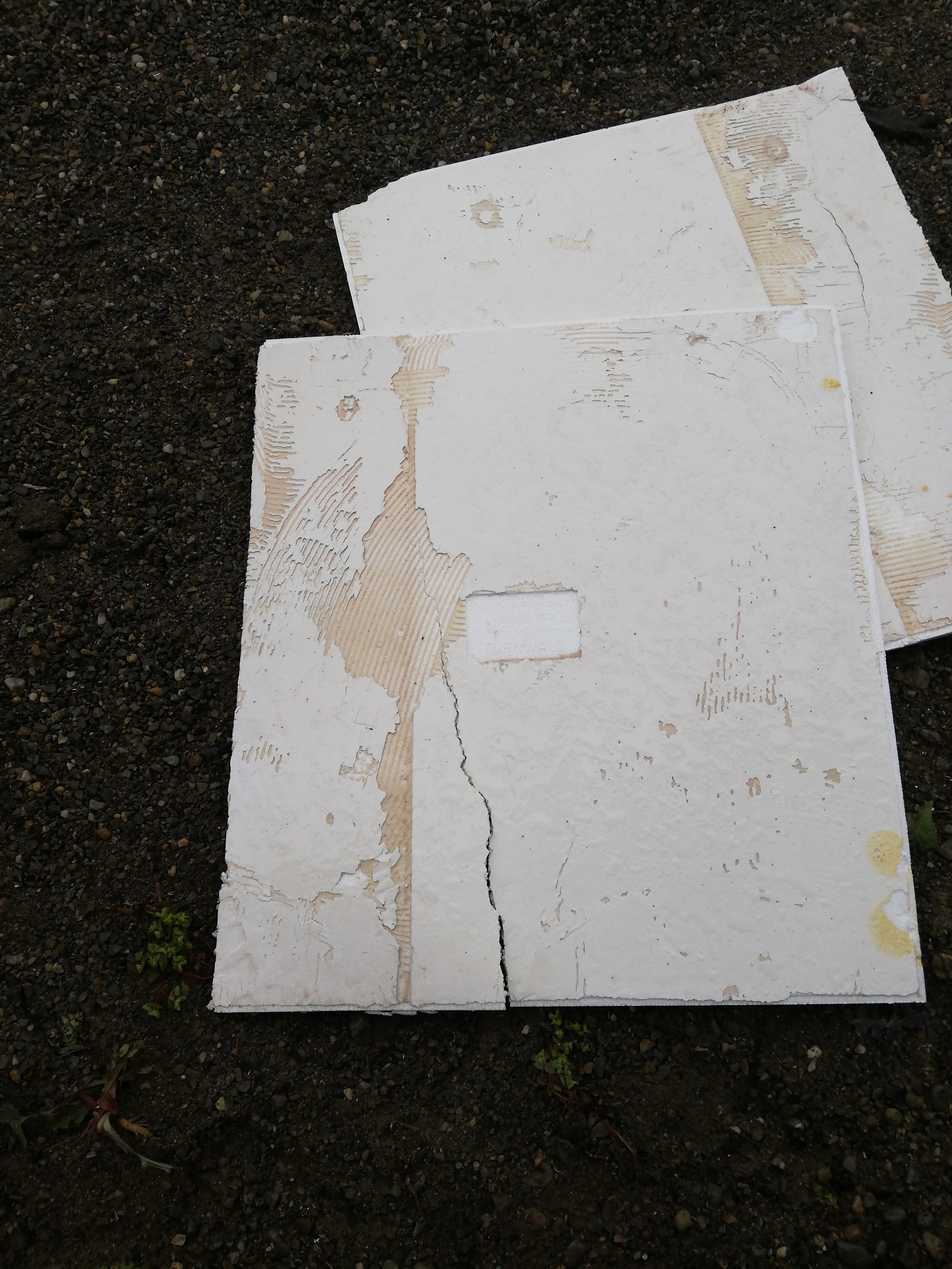 umbau-altes-fertighaus-abbruch-von-holzpanelen-asbestgefahr-494685-2.jpg