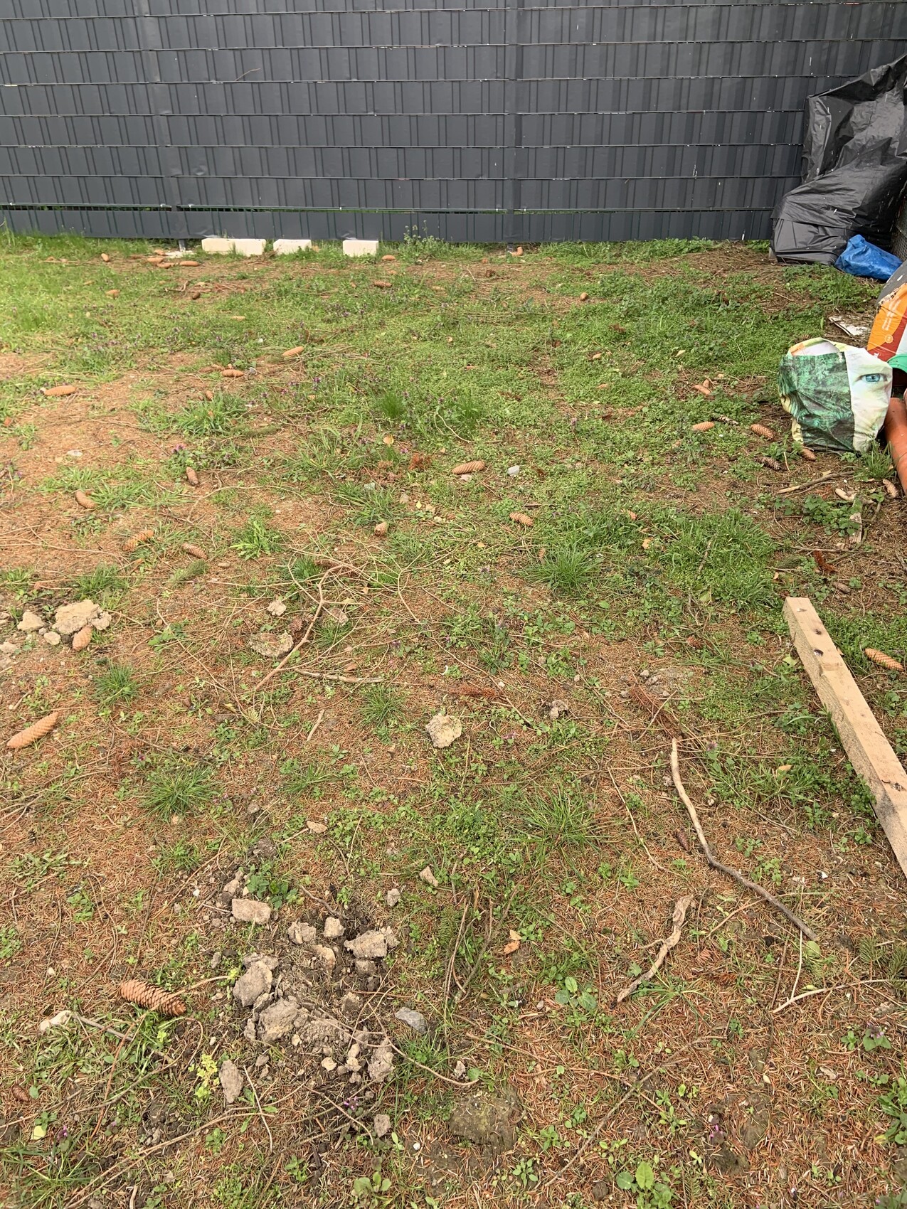 Außenbereich mit unebener Erde, Grasflecken, Steinen, Holzlatte, Müllsäcken vor grauer Wand.