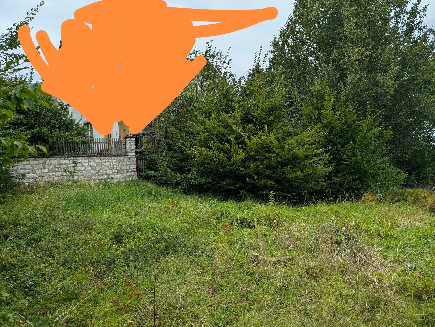 Garten mit Gras, Büschen, Steinmauer und Holzzaun vor grünem Hintergrund.