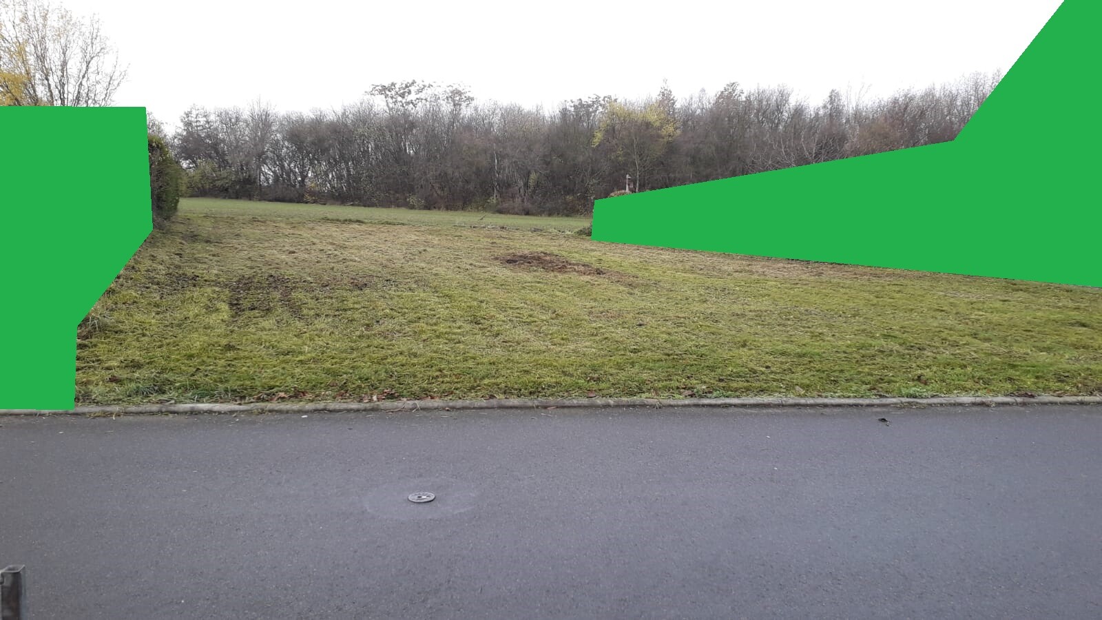 Grünes Overlay über Grasfeld links und rechts, straßennahe Wiese mit Bäumen im Hintergrund.