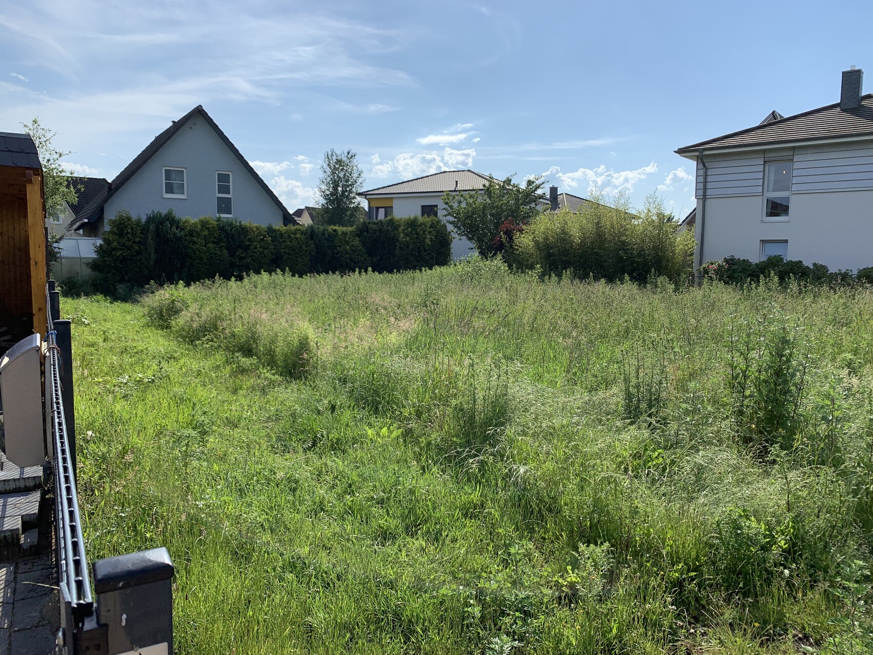 Überwuchertes Grasfeld hinter Wohnhäusern bei blauem Himmel; unbebautes Grundstück.