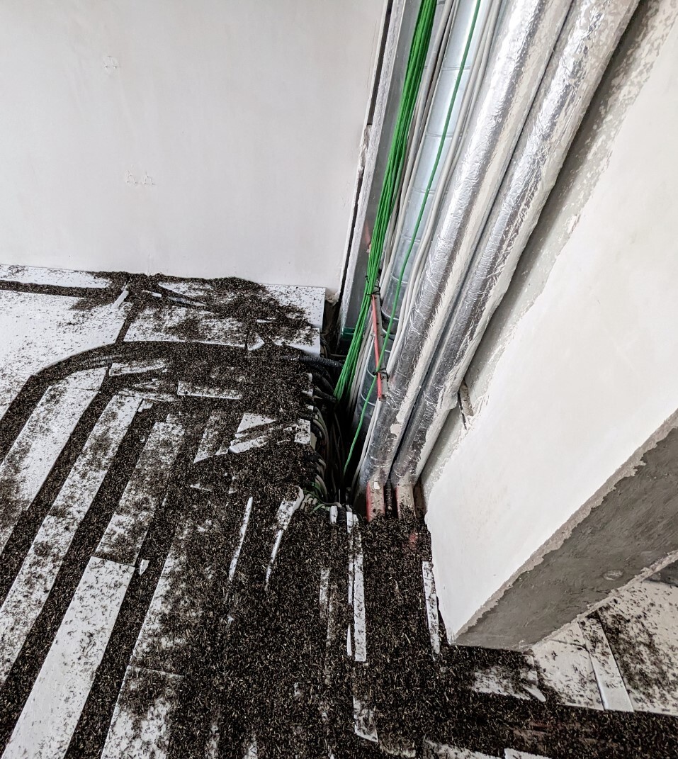 Unfertige Treppenstufen im Bau mit sichtbaren Kabeln und Installationen an der Wand.