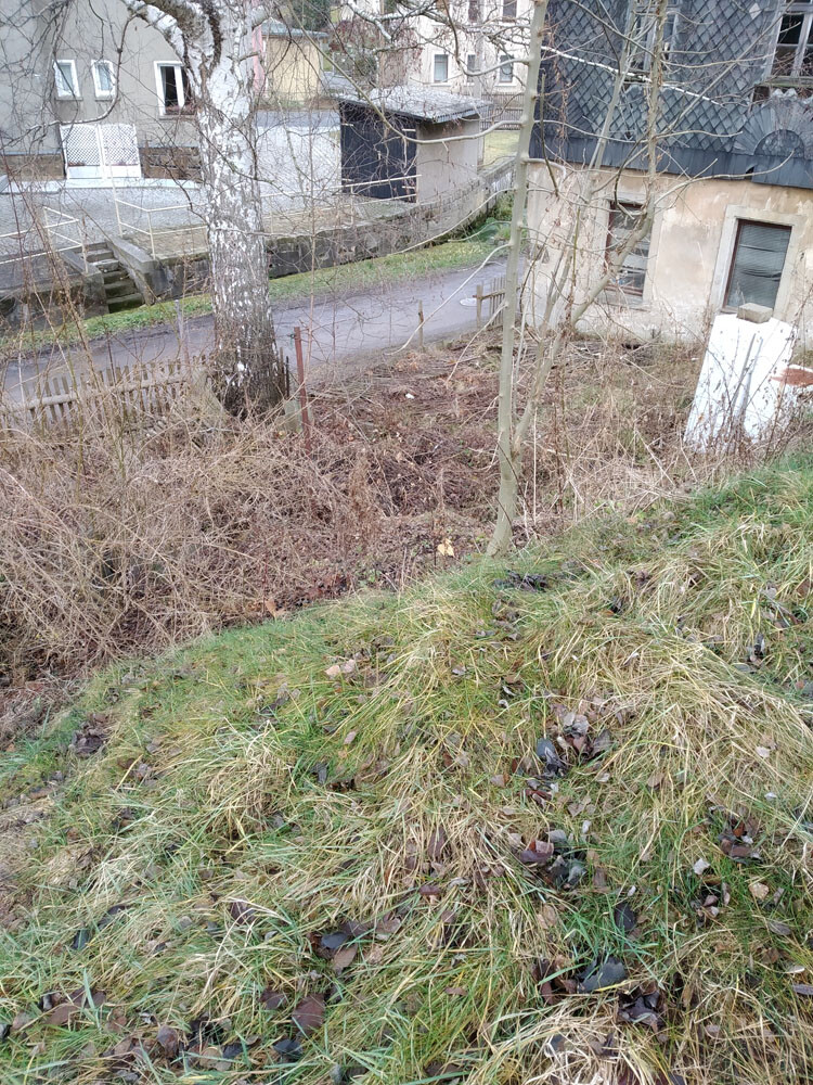 Hang mit trockenem Gras, Laub und Sträuchern; dahinter Straße, Zaun und Gebäude.