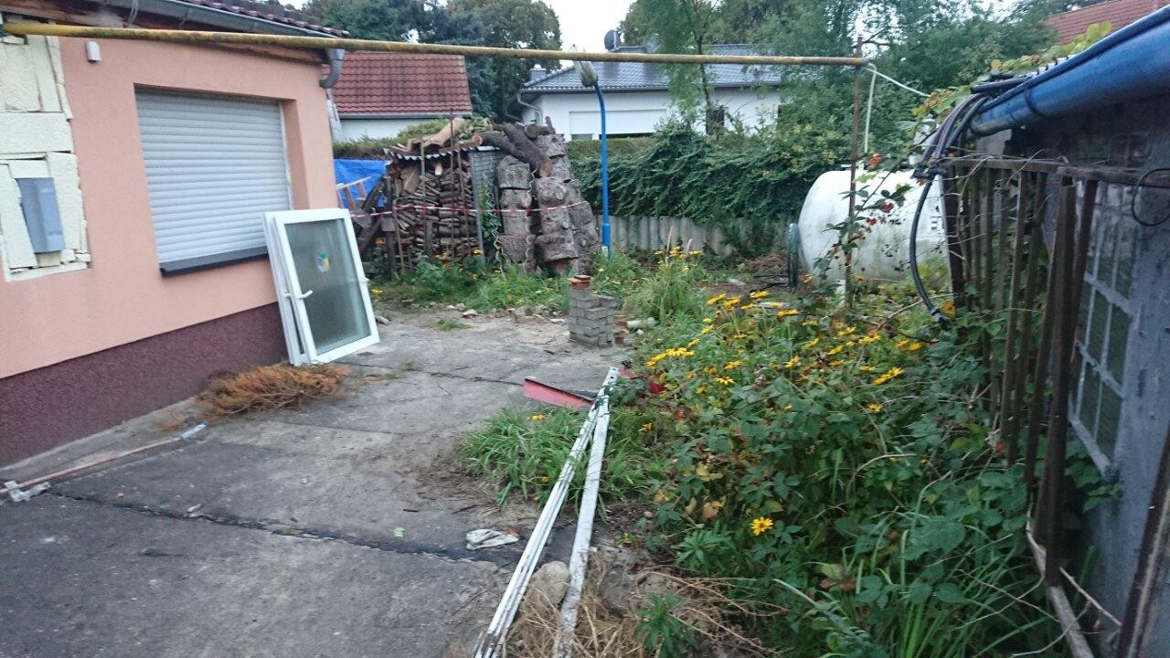 Hinterhof mit gelb blühendem Beet, Türrahmen, Holzstapeln, Gasbehälter und Gartenpflanzen.