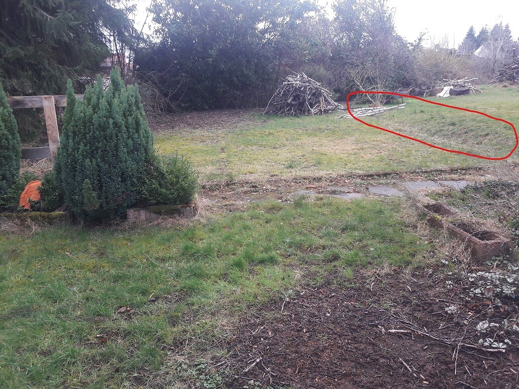 unordentlicher-holzstapel-im-garten.jpg