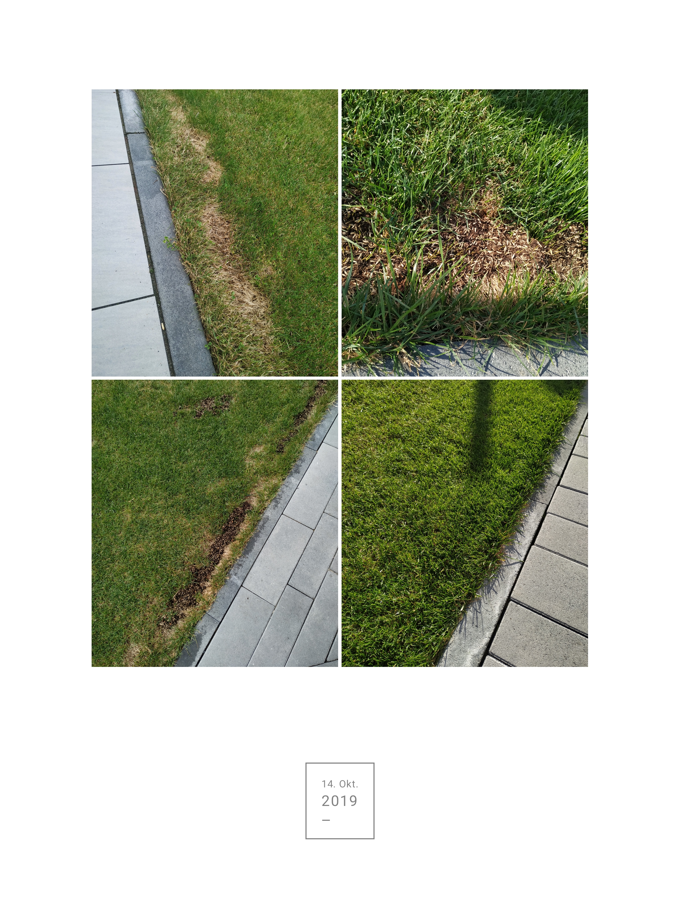 unregelmaessige-grasflaechen-am-strassenrand.jpg