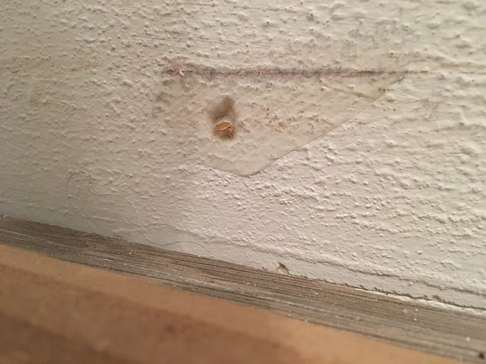 Weiße, grob strukturierte Wand mit kleinem braunen Loch; darunter Holzfußboden.