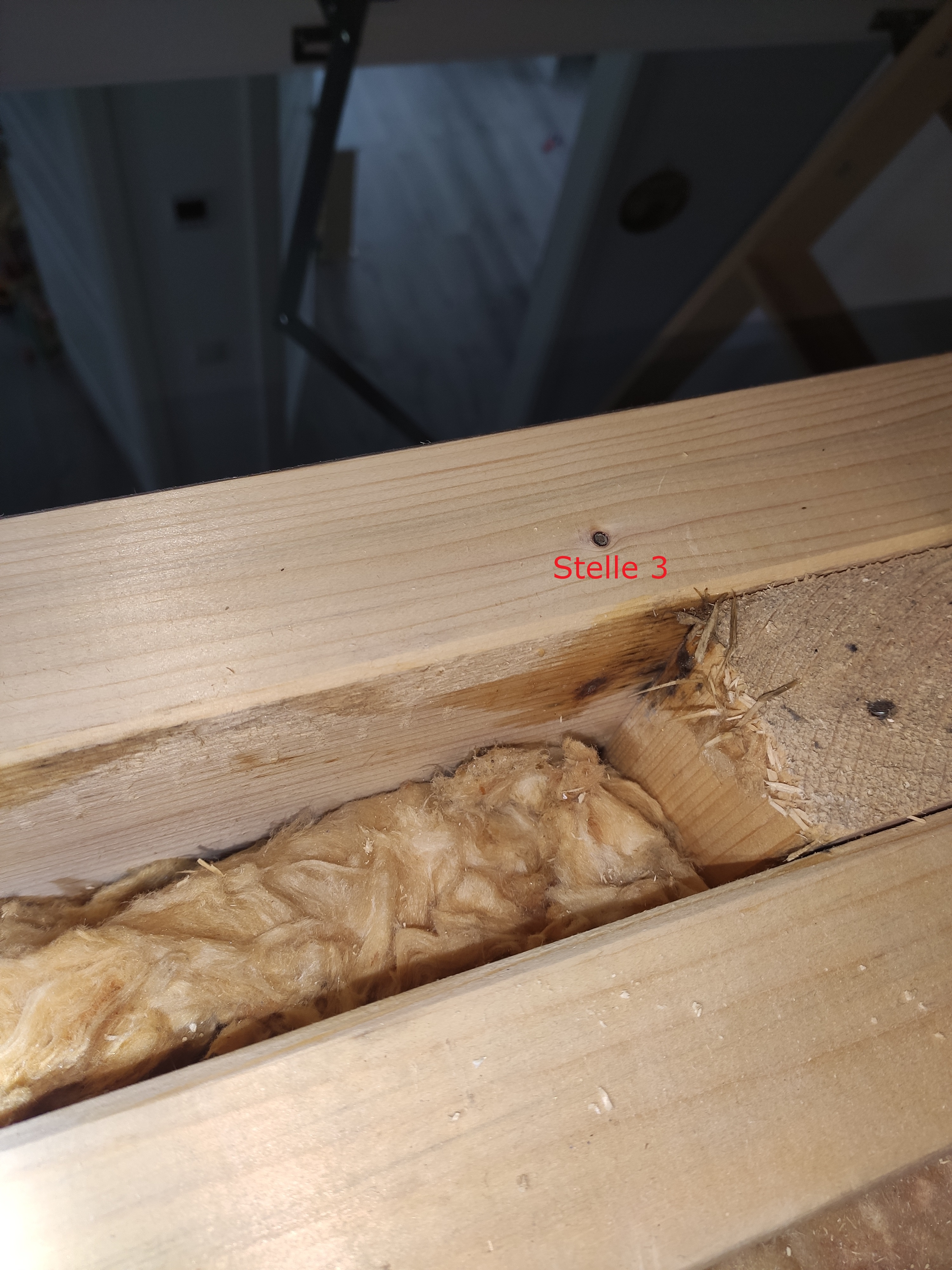 unverputzter-innenausbau-rohbau-holz-konstruktion-daemmung-stelle-3.jpg