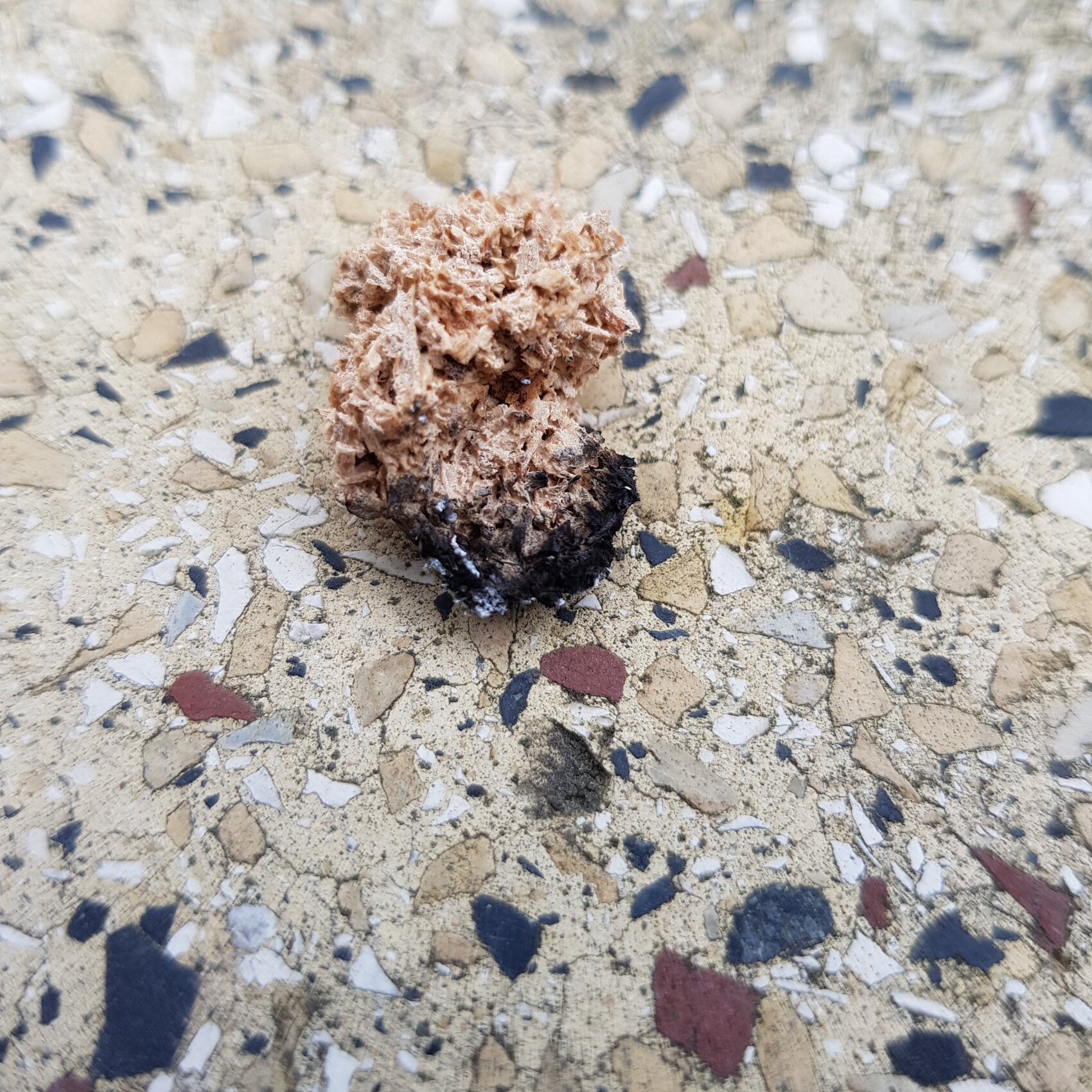 verbrannter-holzspan-auf-terrazzo-boden.jpg