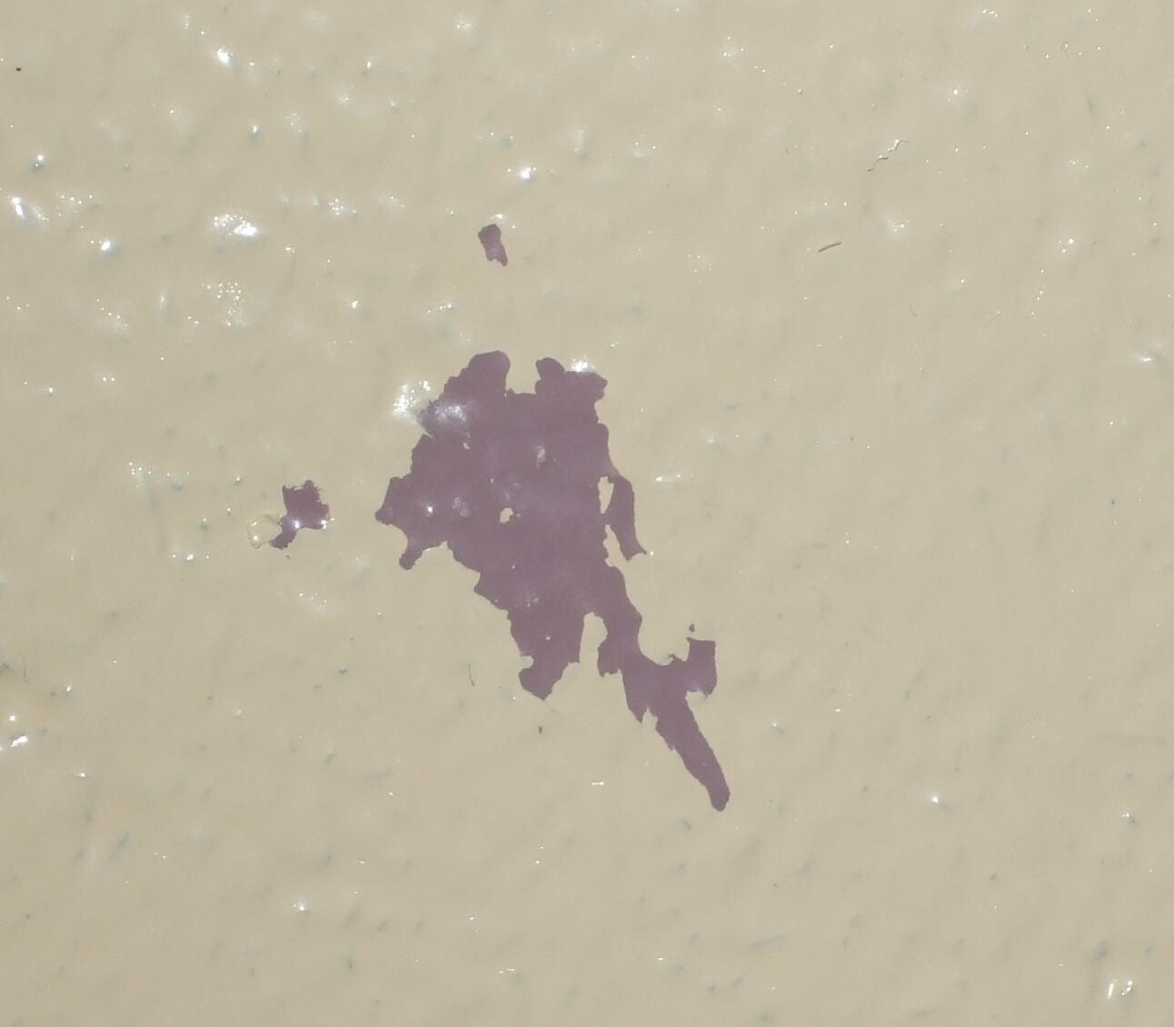 Cremefarbener Untergrund mit violettem Fleck, möglicher Baumangel