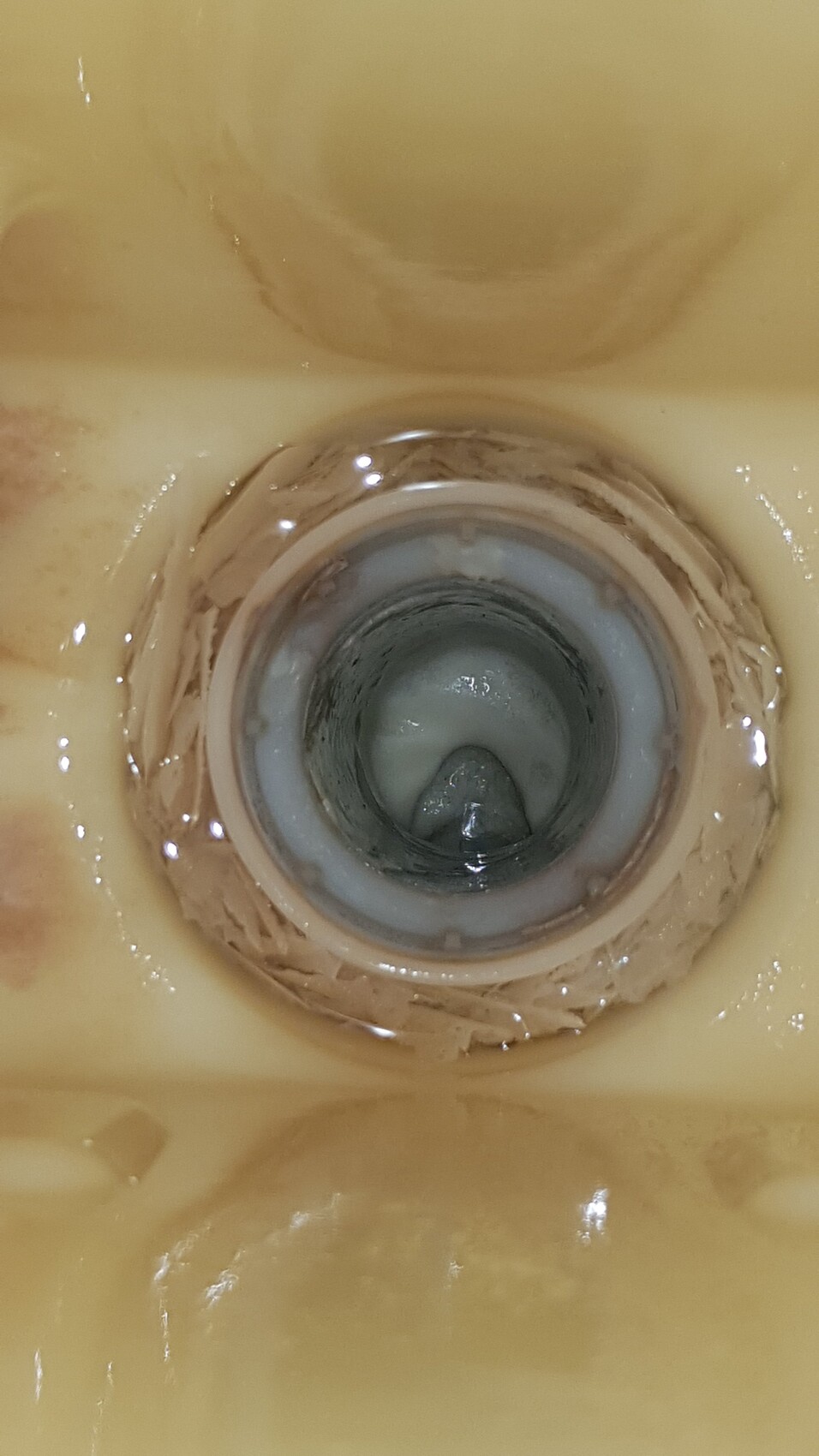 Nahaufnahme eines runden Abflusses mit braunen Ablagerungen und Wasser im Inneren.