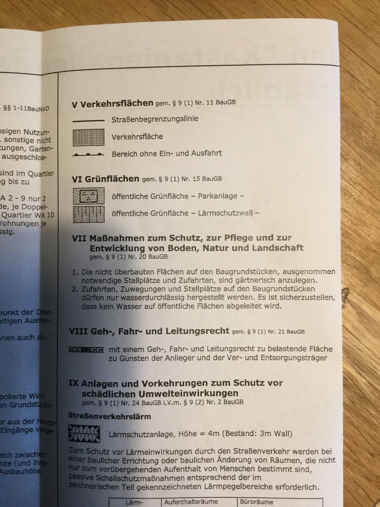 Seite eines Planungsdokuments mit Verkehrsflächen, Grünflächen und Schutzmaßnahmen
