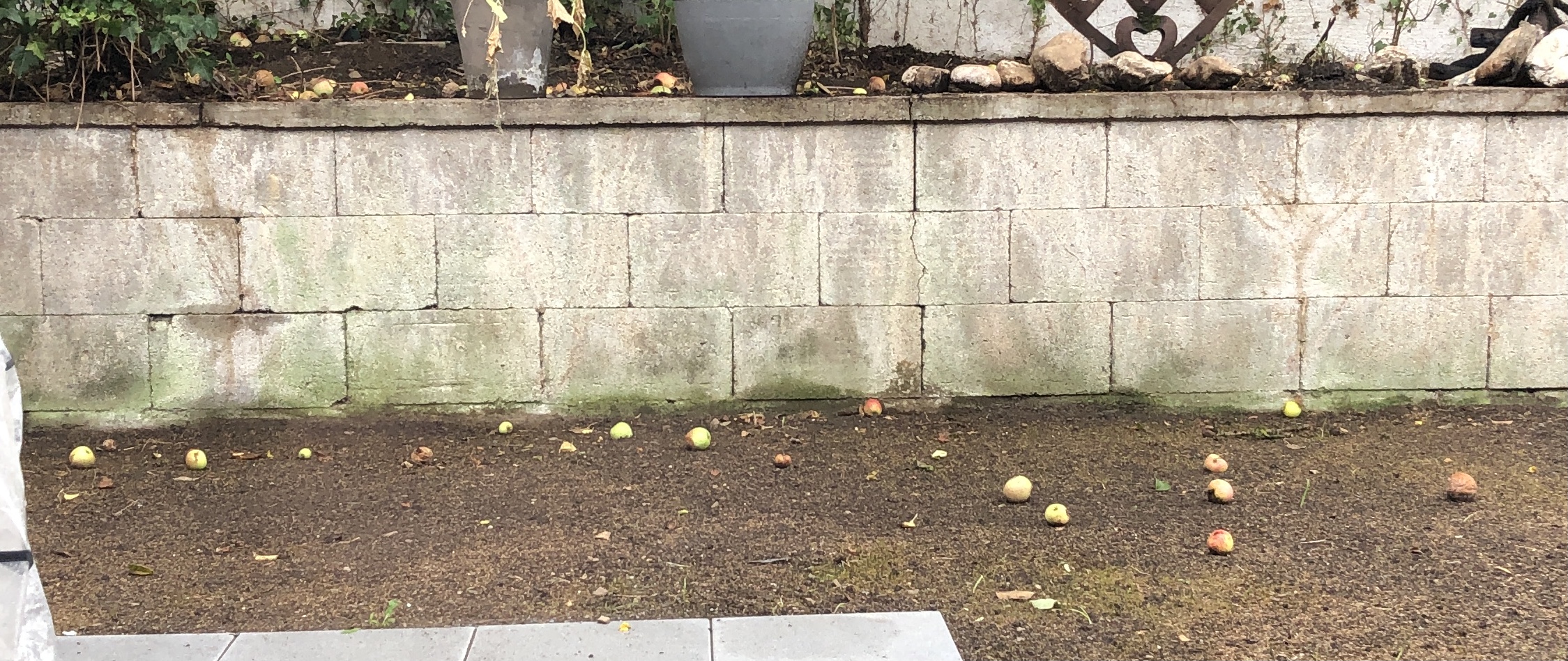 verkleidungverschoenerung-mauer-im-garten-436854-1.jpeg
