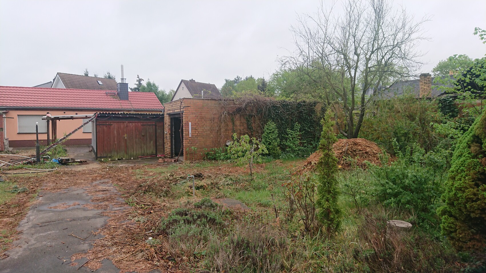 Garten hinter Wohnhaus: Backsteinmauer, Holztor, Kletterpflanzen, großer karger Baum, Laub.