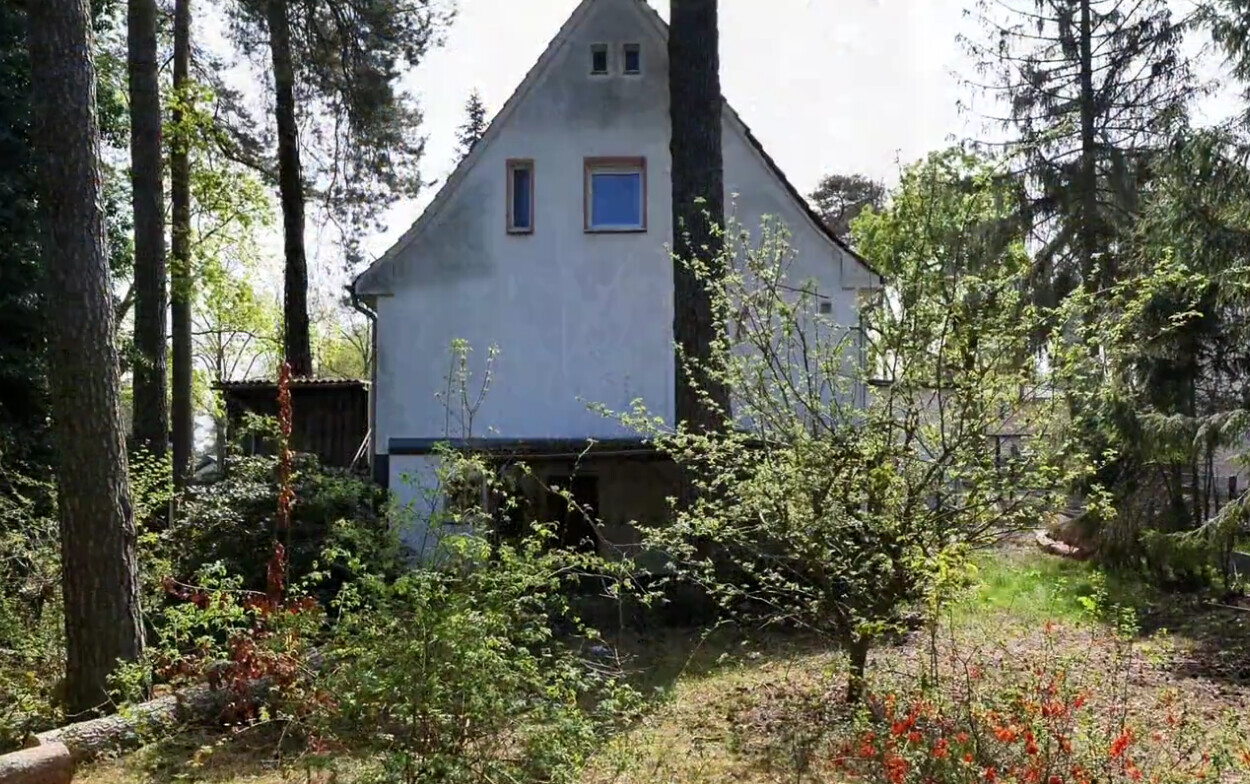 Verlassenes weißes Haus im Wald, umgeben von Bäumen und dichtem Unterholz.