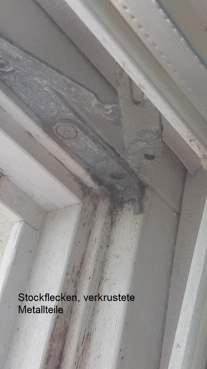 Verrostete Metallteile am Fensterrahmen mit Stockflecken