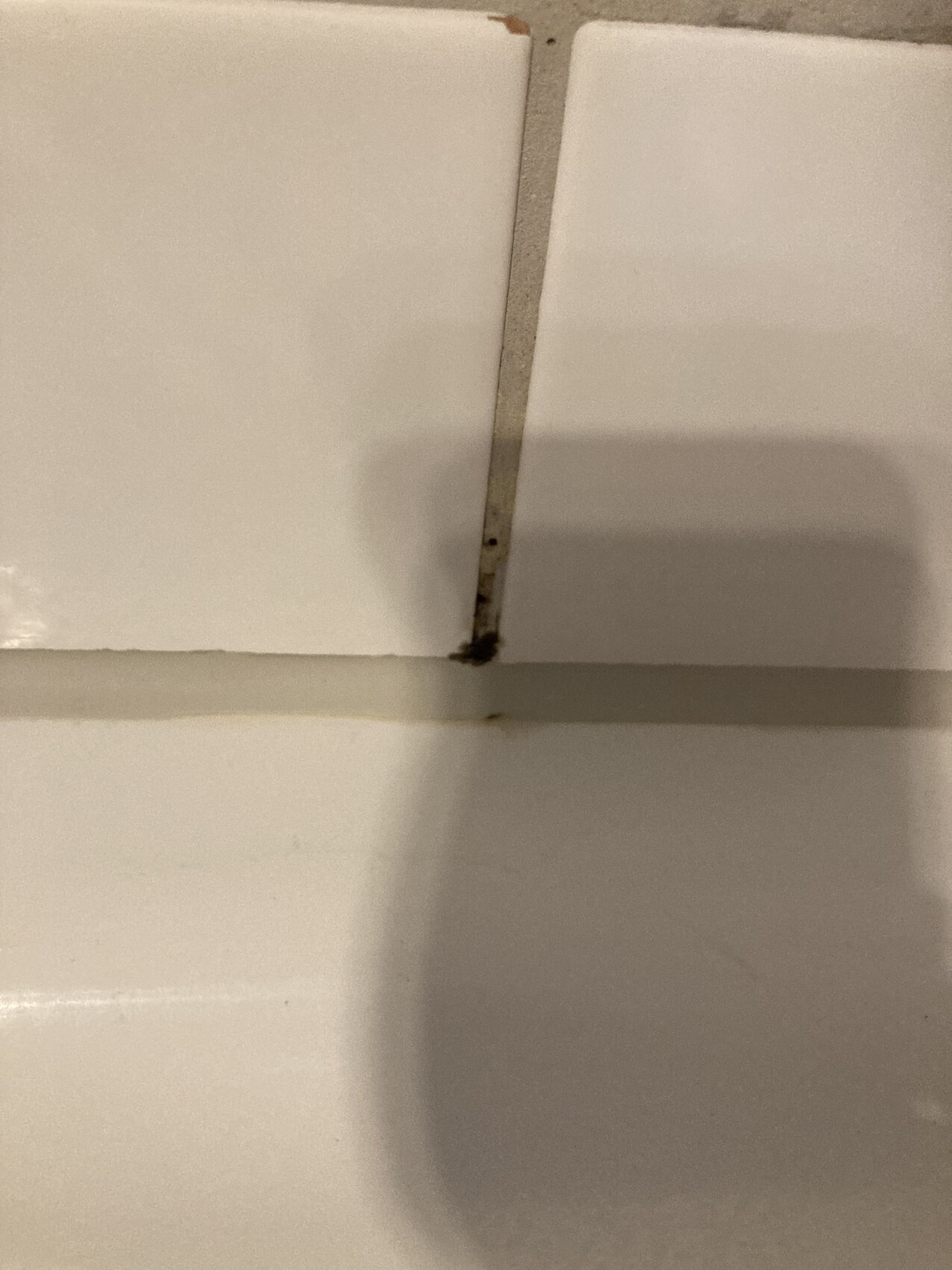 Nahaufnahme weisser Wandfliesen mit brauner Verschmutzung in der Fuge und Schatten.