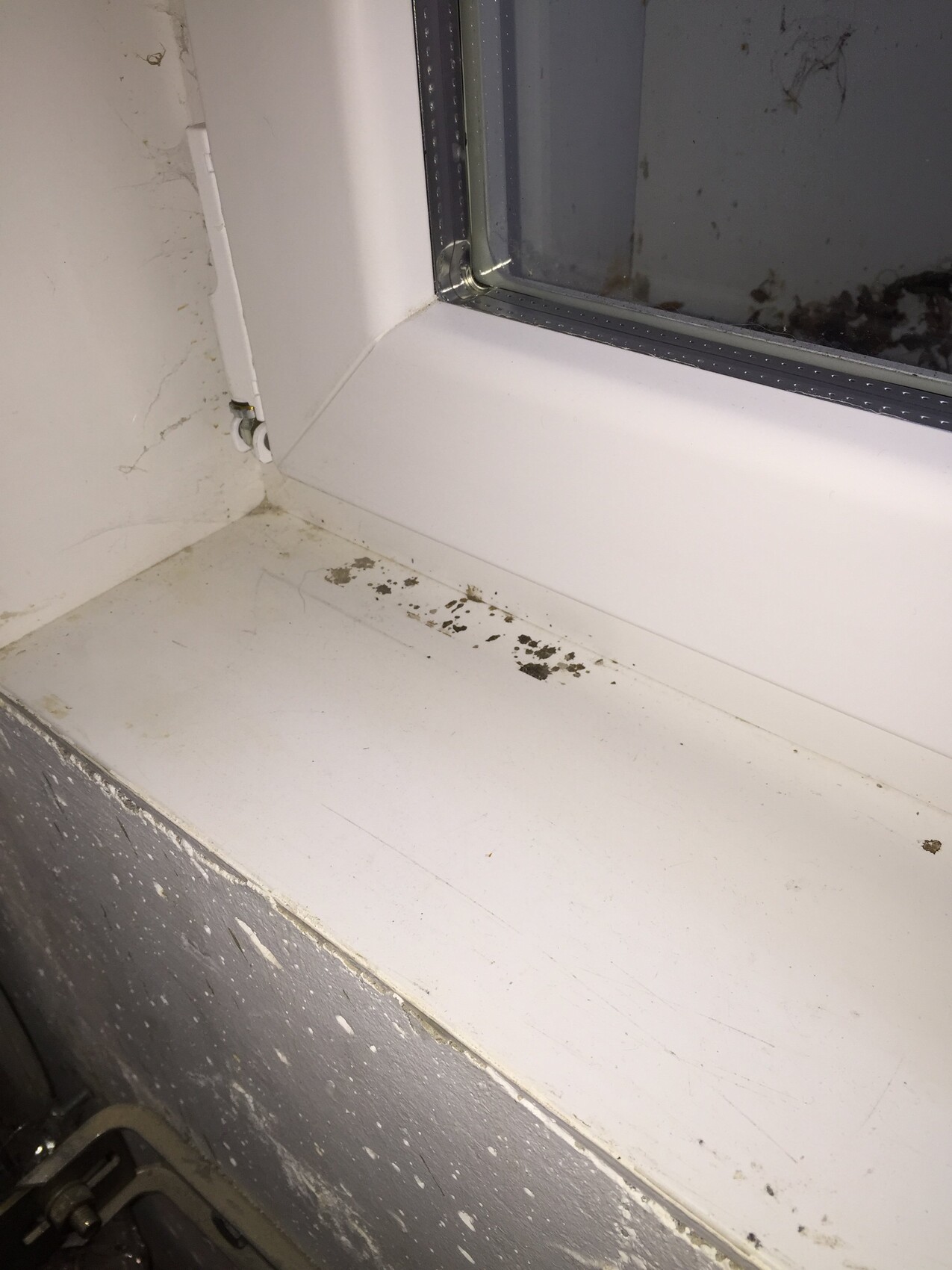Verschmutzte Fensterbank mit weißem Fensterrahmen im Innenbereich, Staub und Schmutz