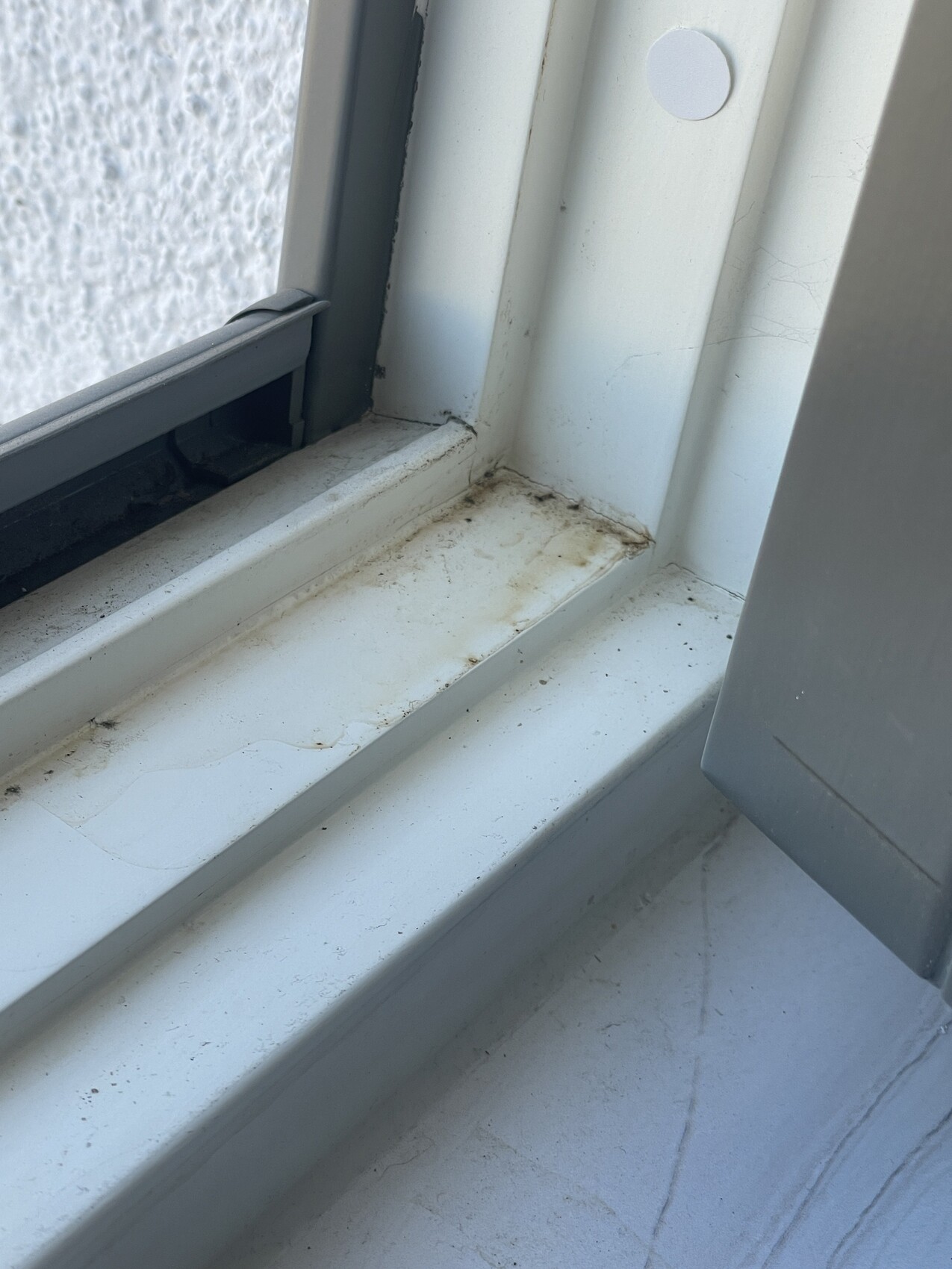 Weißer Fensterrahmen und Fensterbank mit Staub und Schmutz; Außenwand sichtbar.