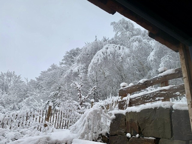 Schneebedeckte Bäume hinter Holzzaun und Steinmauer, Blick von einer Veranda.