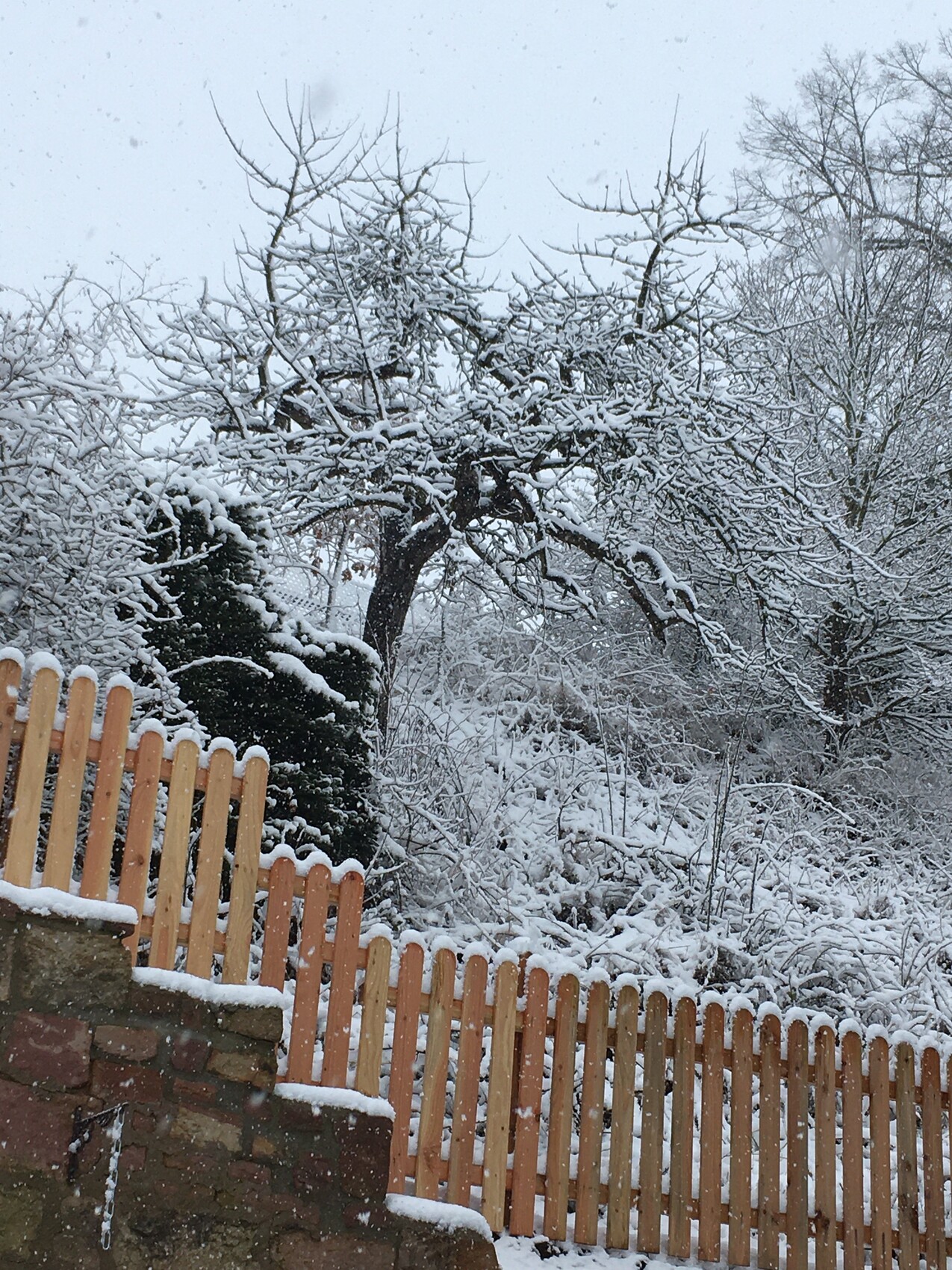 Schneebedeckter Garten mit Holzzaun, knorrigen Bäumen und fallendem Schnee.