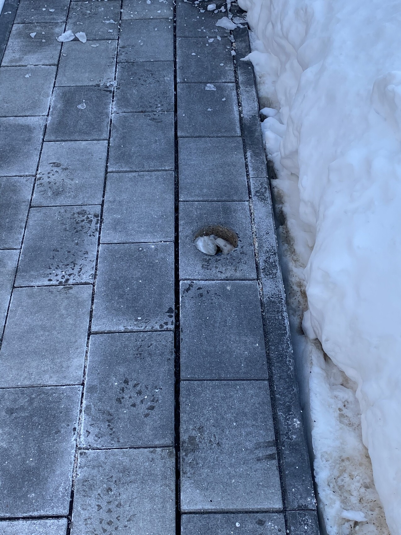 Gehweg aus rechteckigen Pflastersteinen neben Schneewehen; runde Öffnung mit Eis im Fugenbereich.