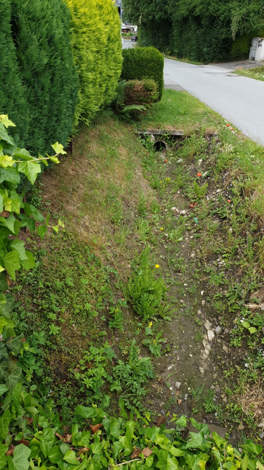 versickerung-nicht-moeglich-was-tun-506438-1.jpeg