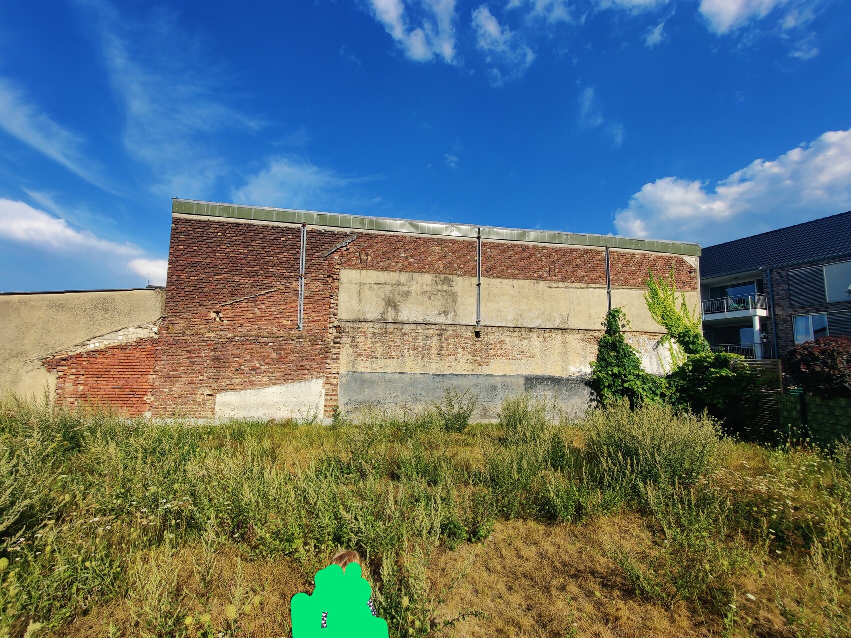 Verlassene Backsteinwand mit Grasfläche davor, Kletterpflanzen an der rechten Seite und blauem Himmel.