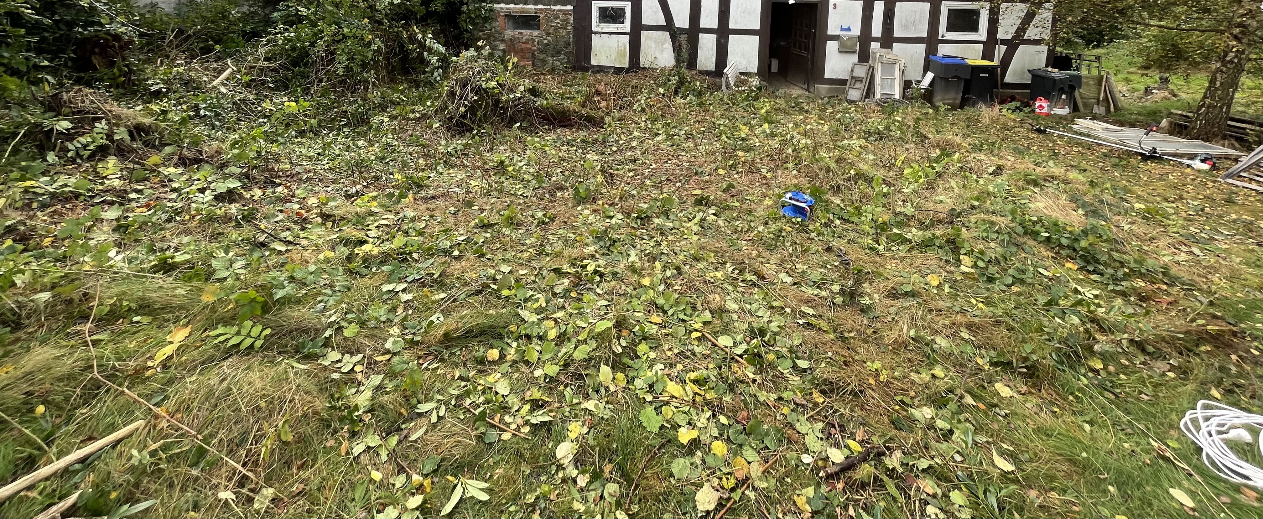 verwilderten-garten-fuer-baustelle-herrichten-534101-1.jpeg