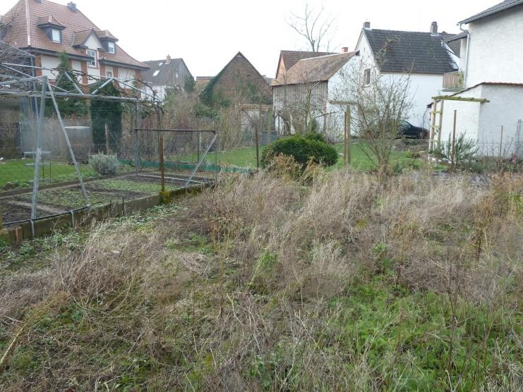 Verwilderter Garten mit Zäunen und Hintergrundhäusern