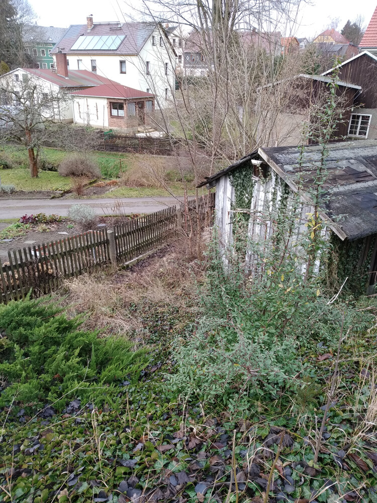 Überwachsener Garten mit kleinem Schuppen, Holzzaun und Häusern im Hintergrund.