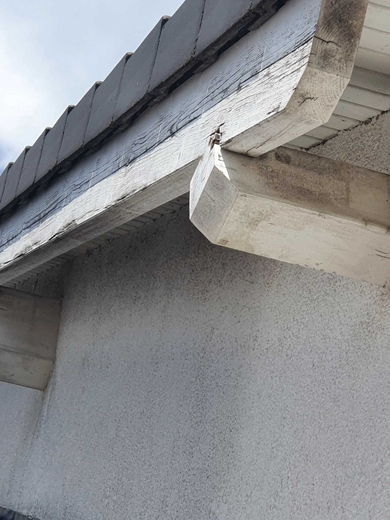 Außenansicht eines Hauses: weiß gestrichene Dachverkleidung mit abgebrochener Kante über rauer Wand.