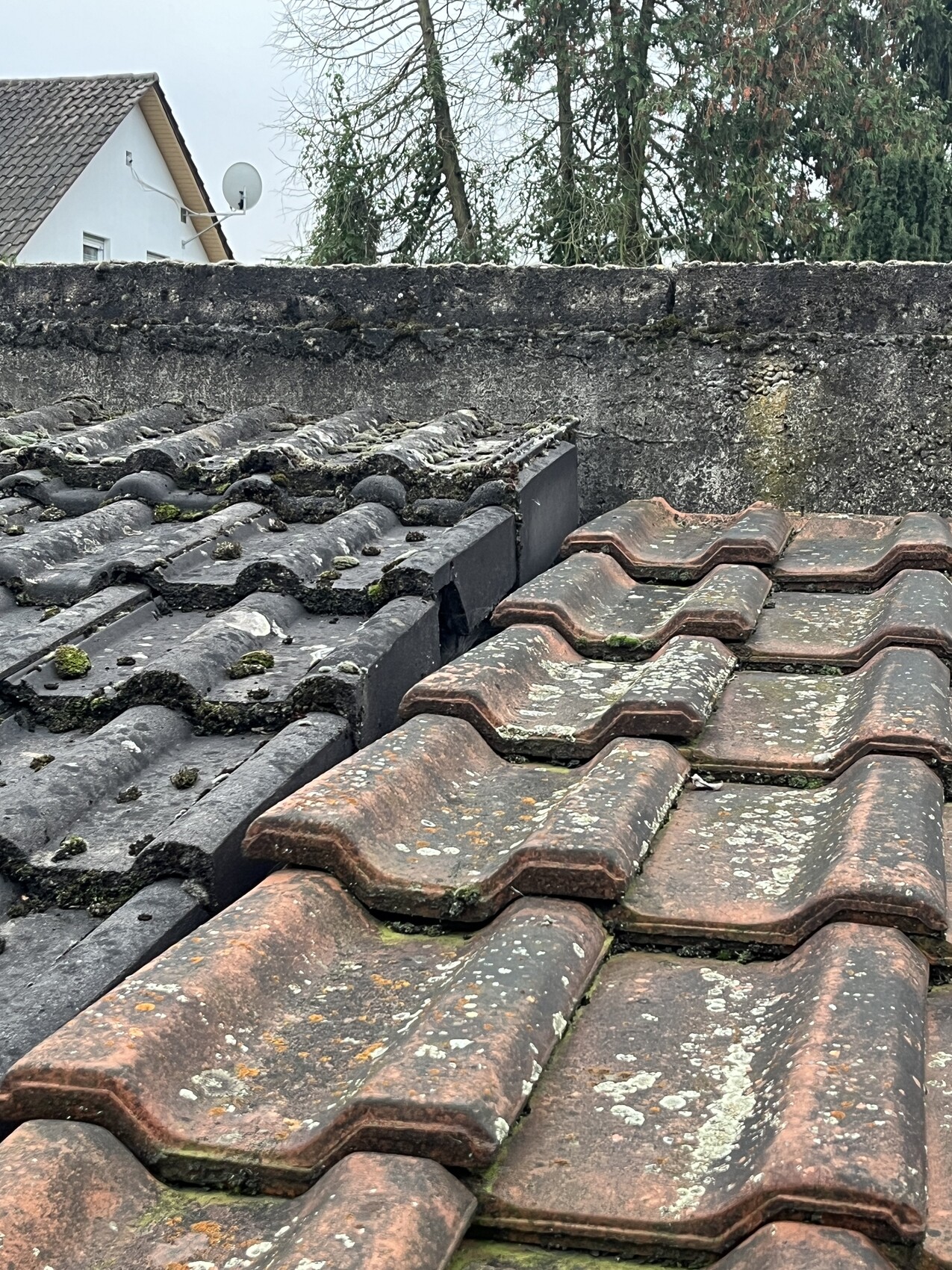 Nahaufnahme eines Dachs mit schwarzen Ziegeln links und roten Ziegeln rechts, Moosbewuchs.