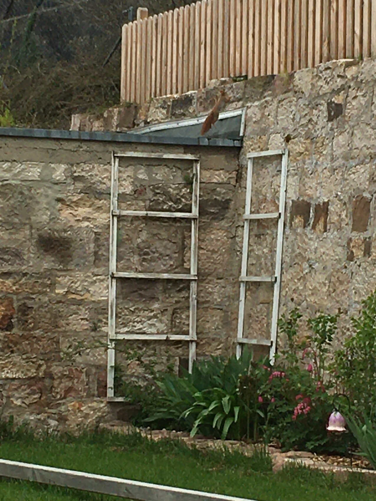 Alte Steinwand mit zwei leeren weißen Fensterrahmen, davor Gartenpflanzen.