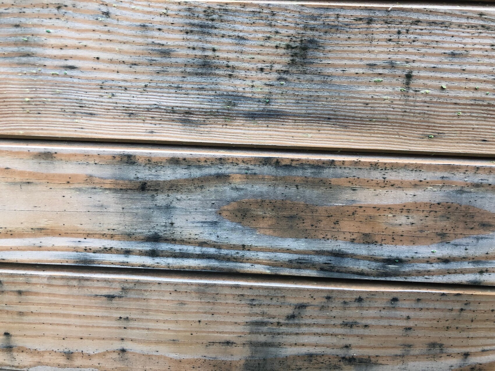 Nahaufnahme von Holzbrettern mit schwarzen Flecken und Feuchtigkeit.