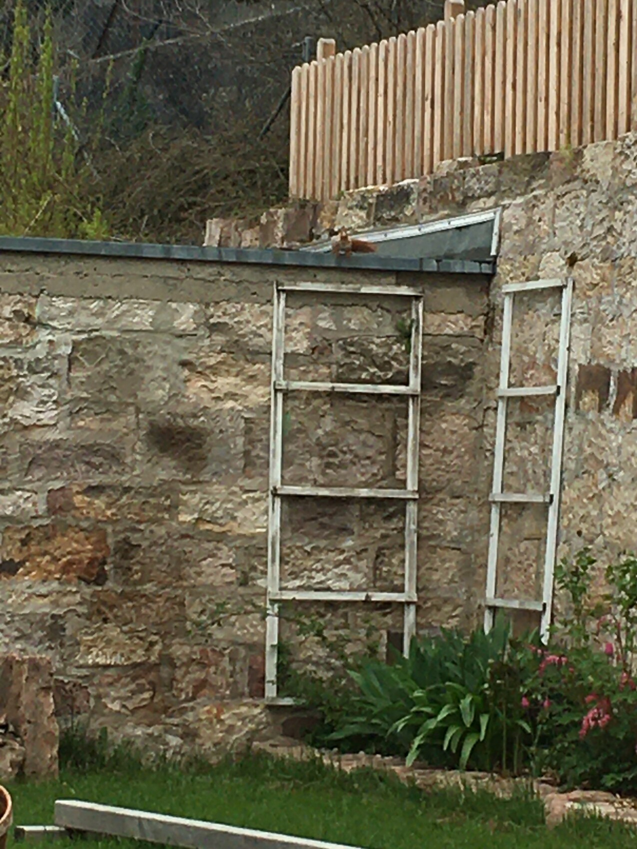 Zwei weiße, leere Fensterrahmen aus Holz lehnen an einer rauen Steinmauer; davor grüne Pflanzen.