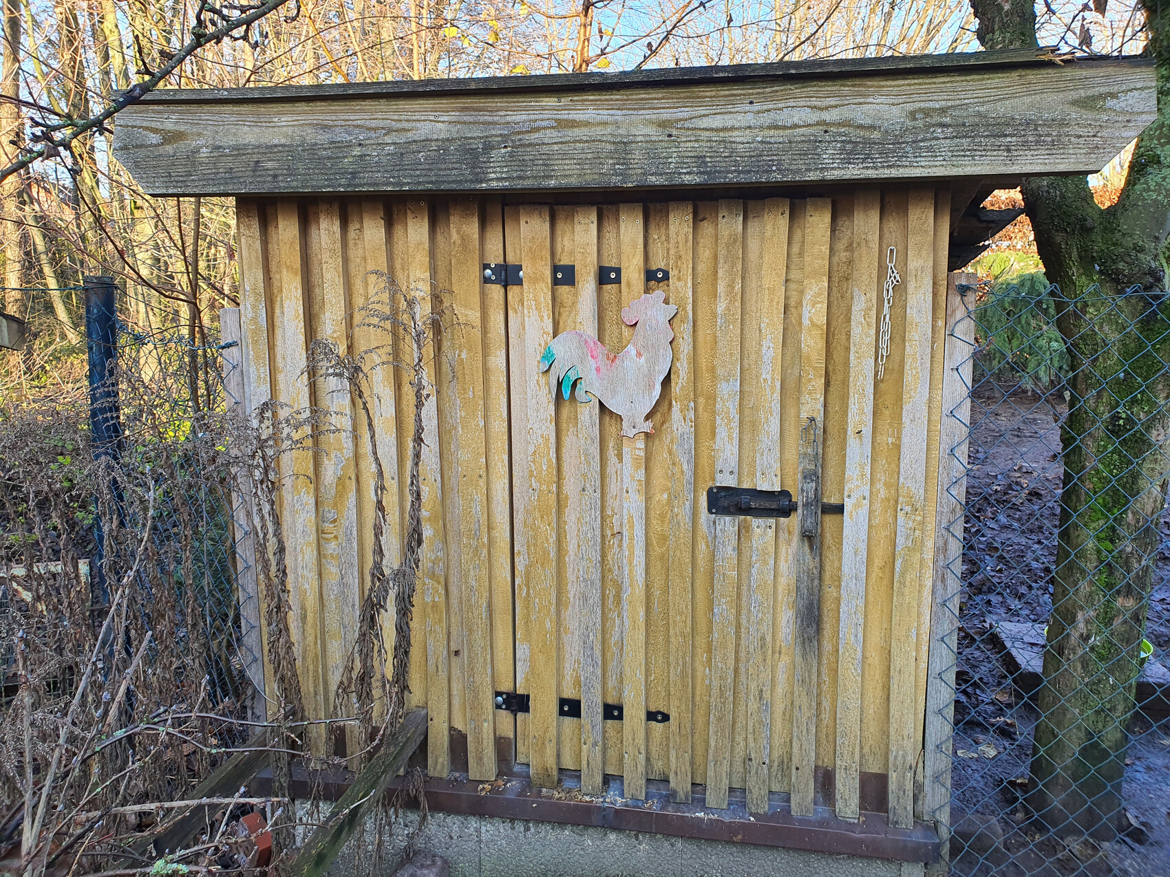 Kleiner Holzschuppen mit vertikalen Brettern; bunte Hühner-Silhouette an der Tür, Drahtzaun daneben.