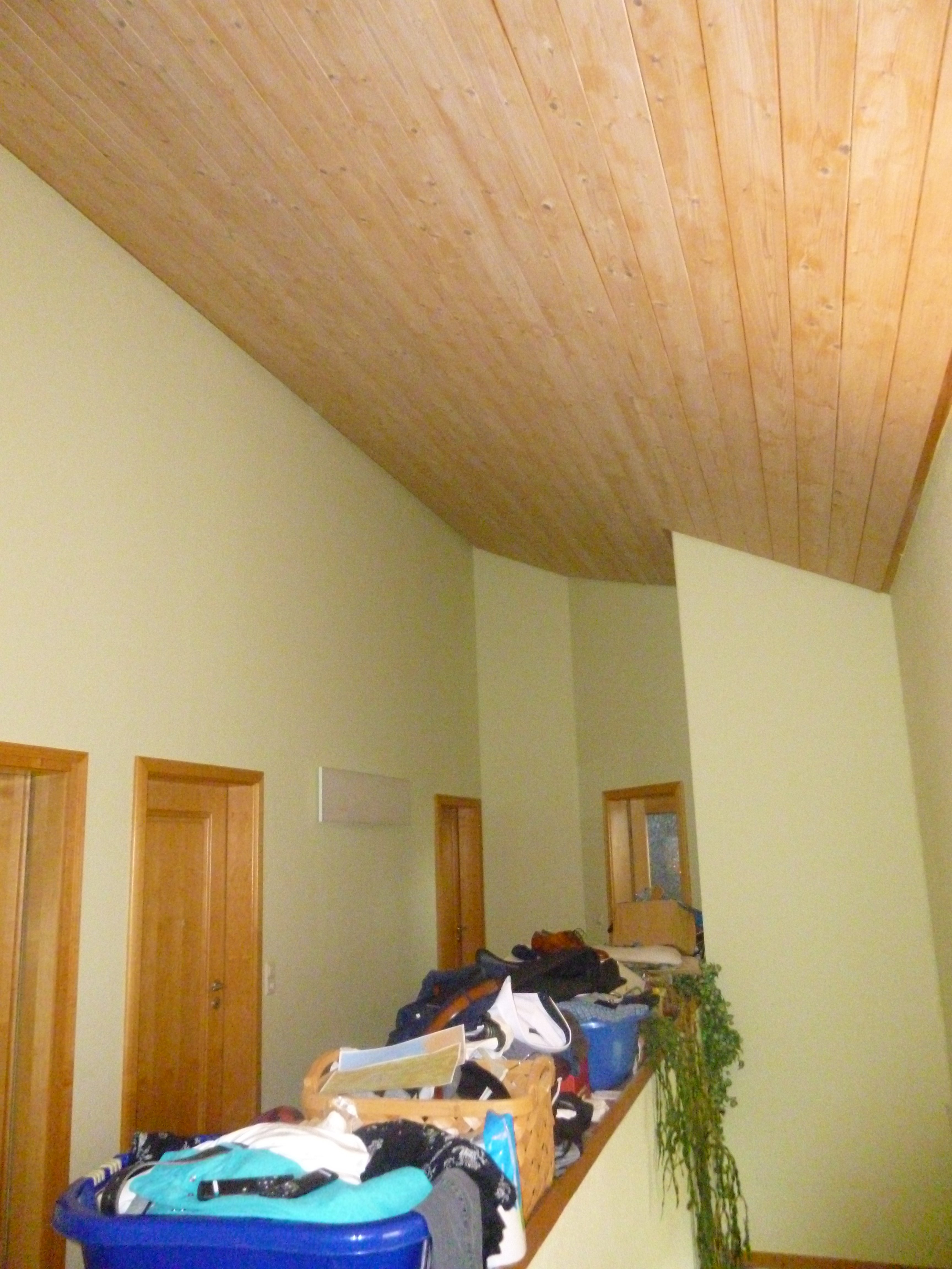 P1000231.JPG