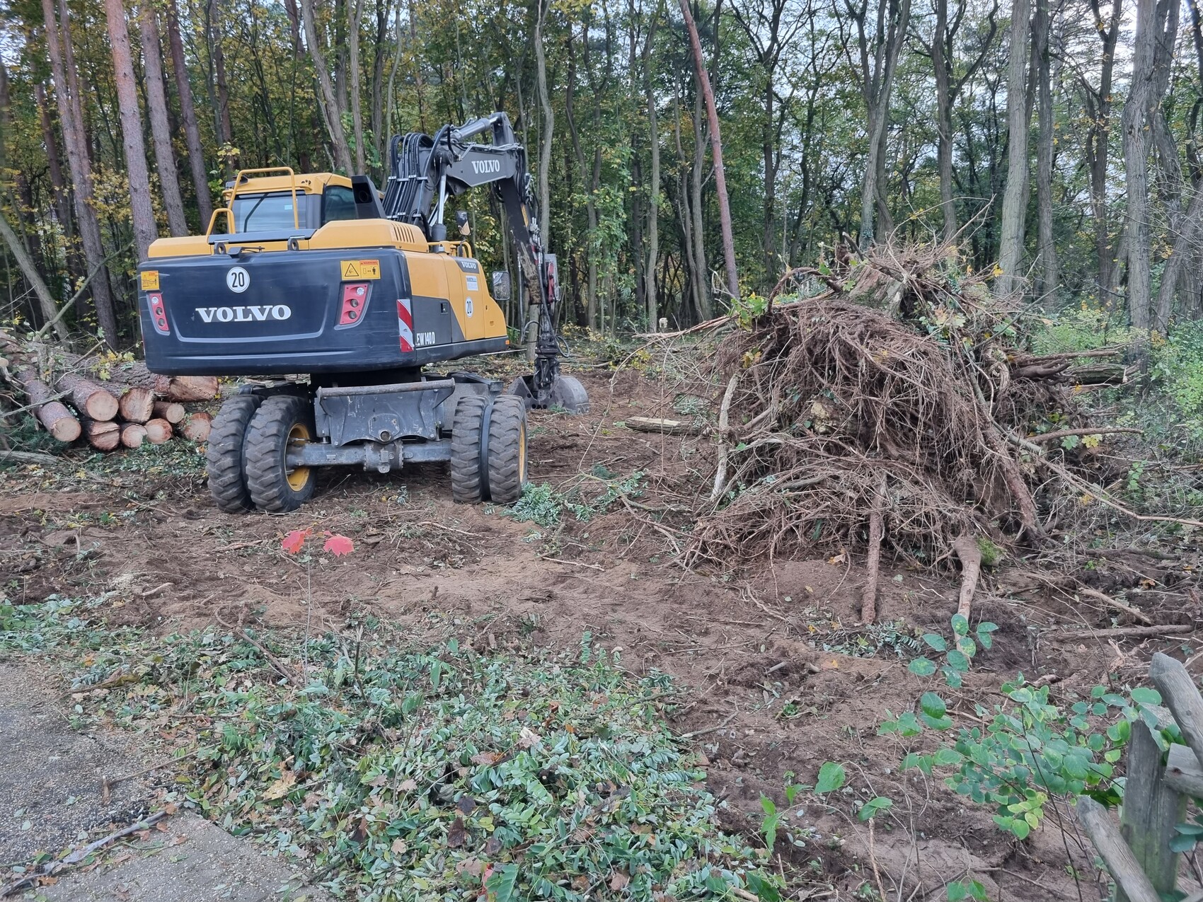 Volvo-Baumaschine im Wald neben Baumstämmen und einem großen Wurzelhaufen